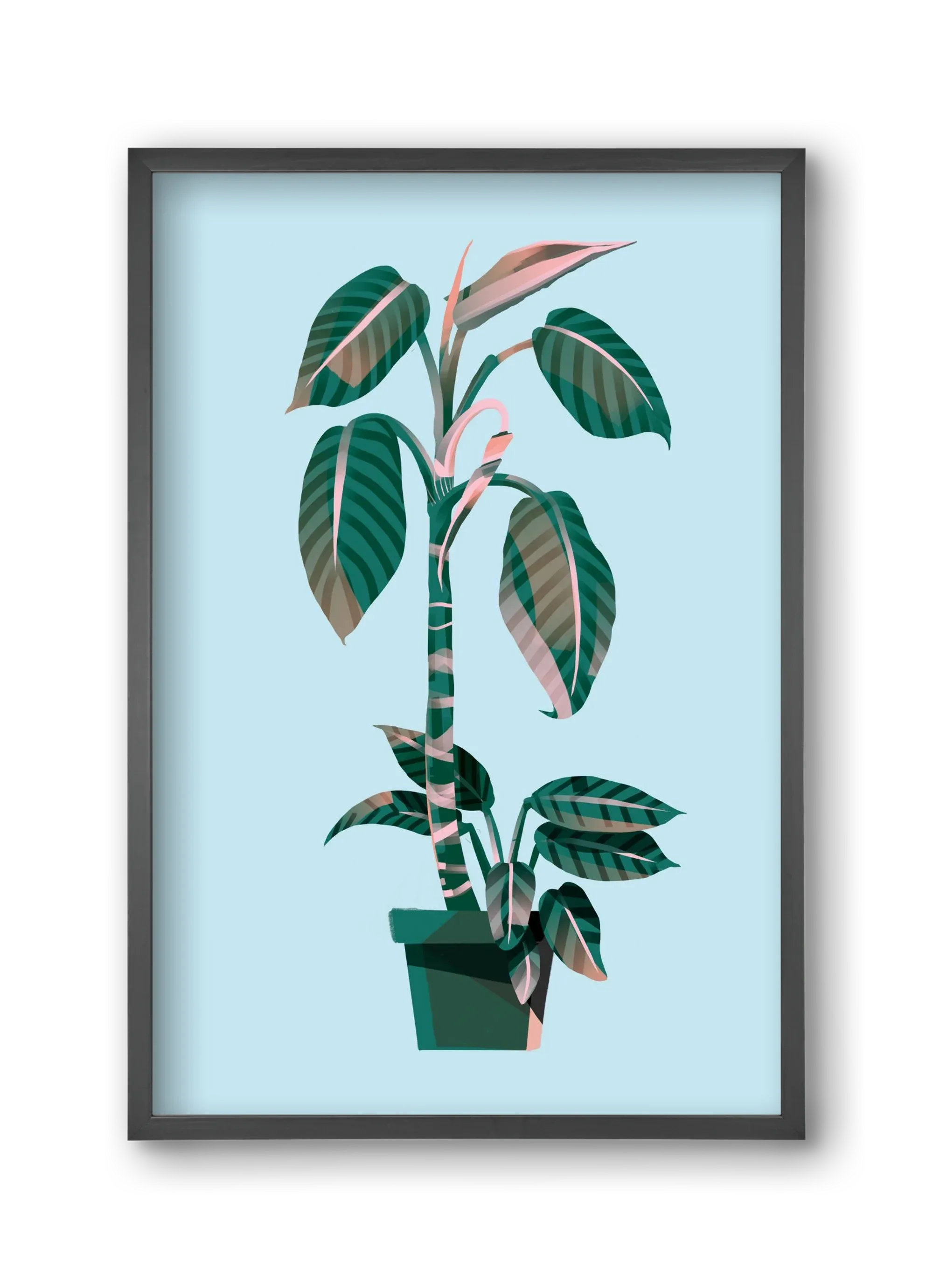 evergreen 01 - artbridge