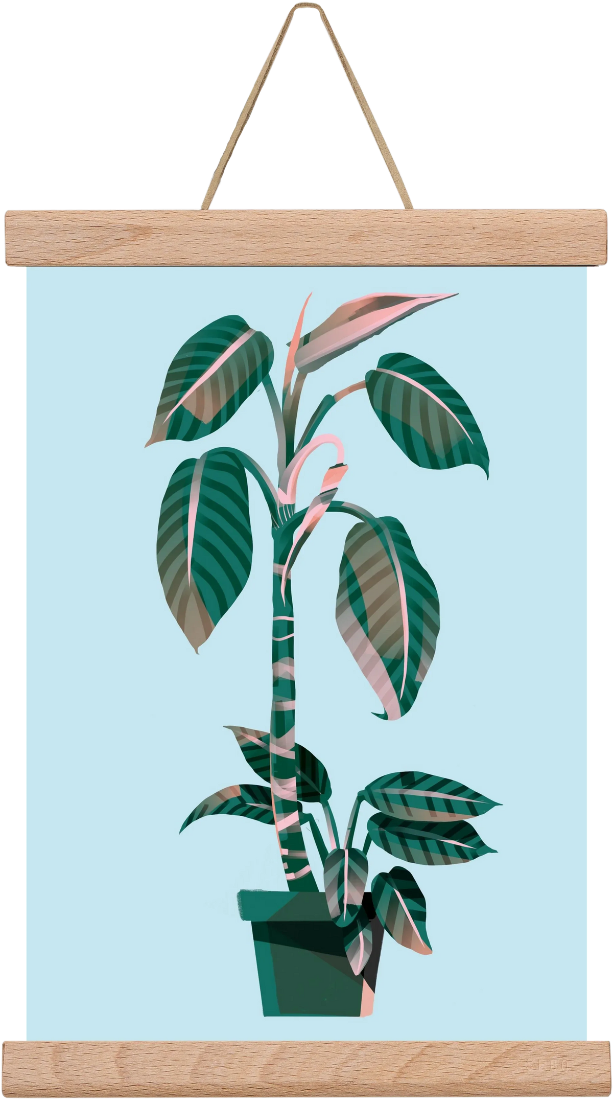 evergreen 01 - artbridge