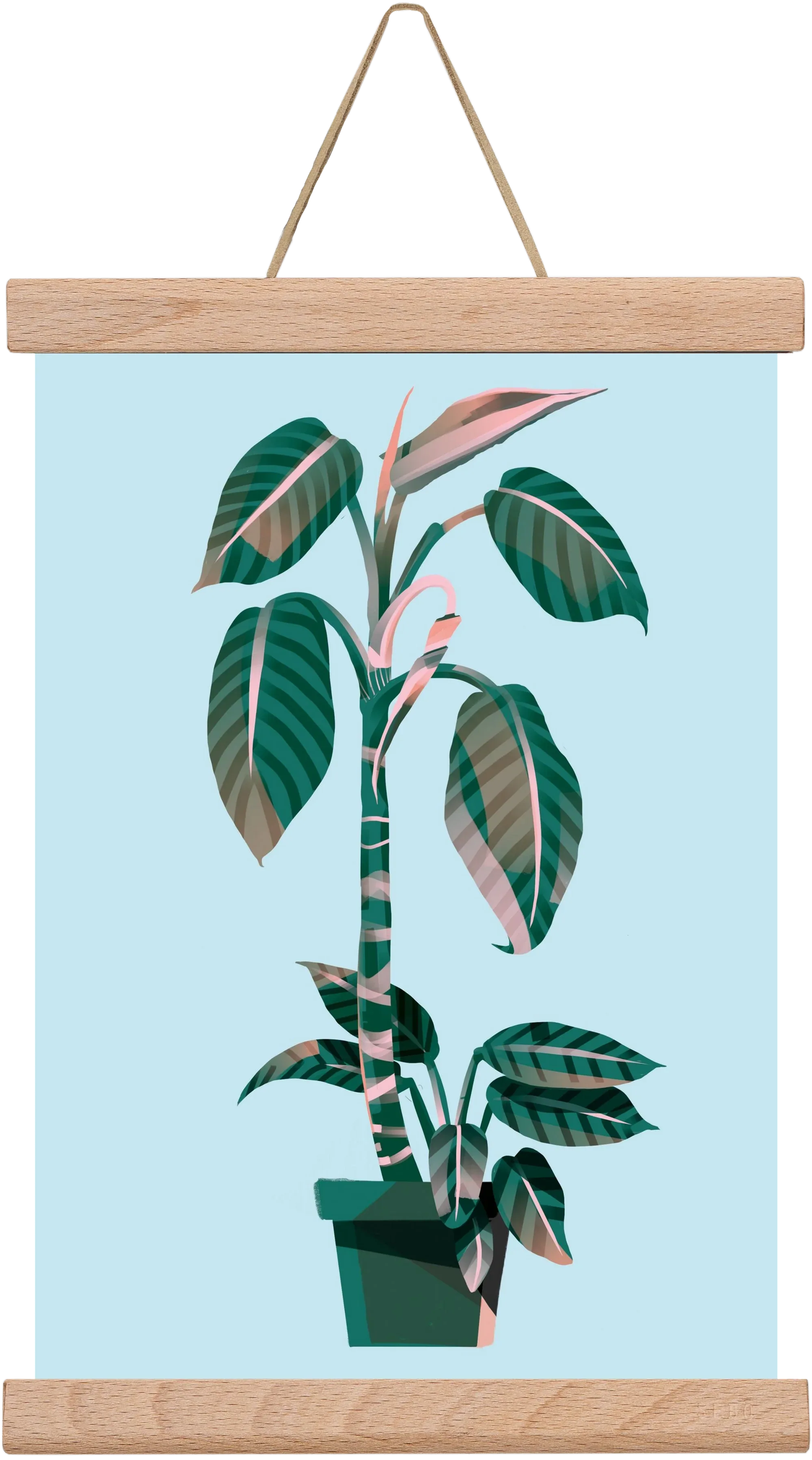 evergreen 01 - artbridge