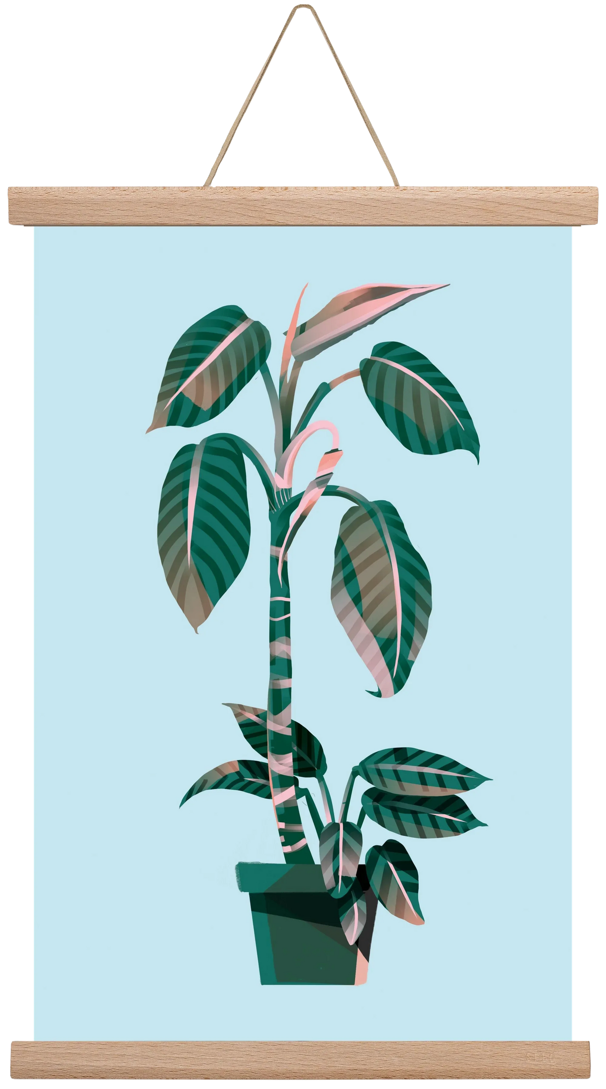 evergreen 01 - artbridge