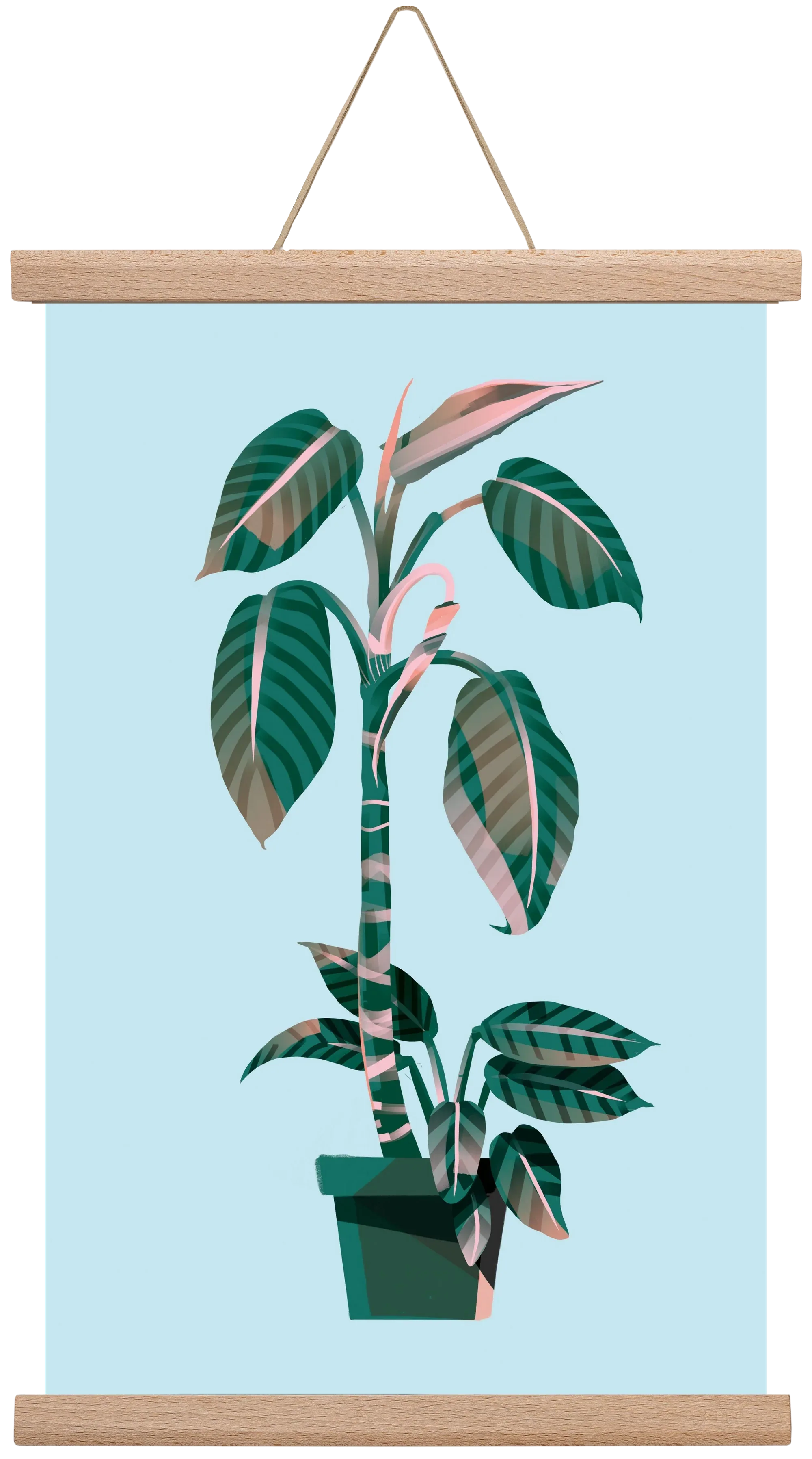evergreen 01 - artbridge