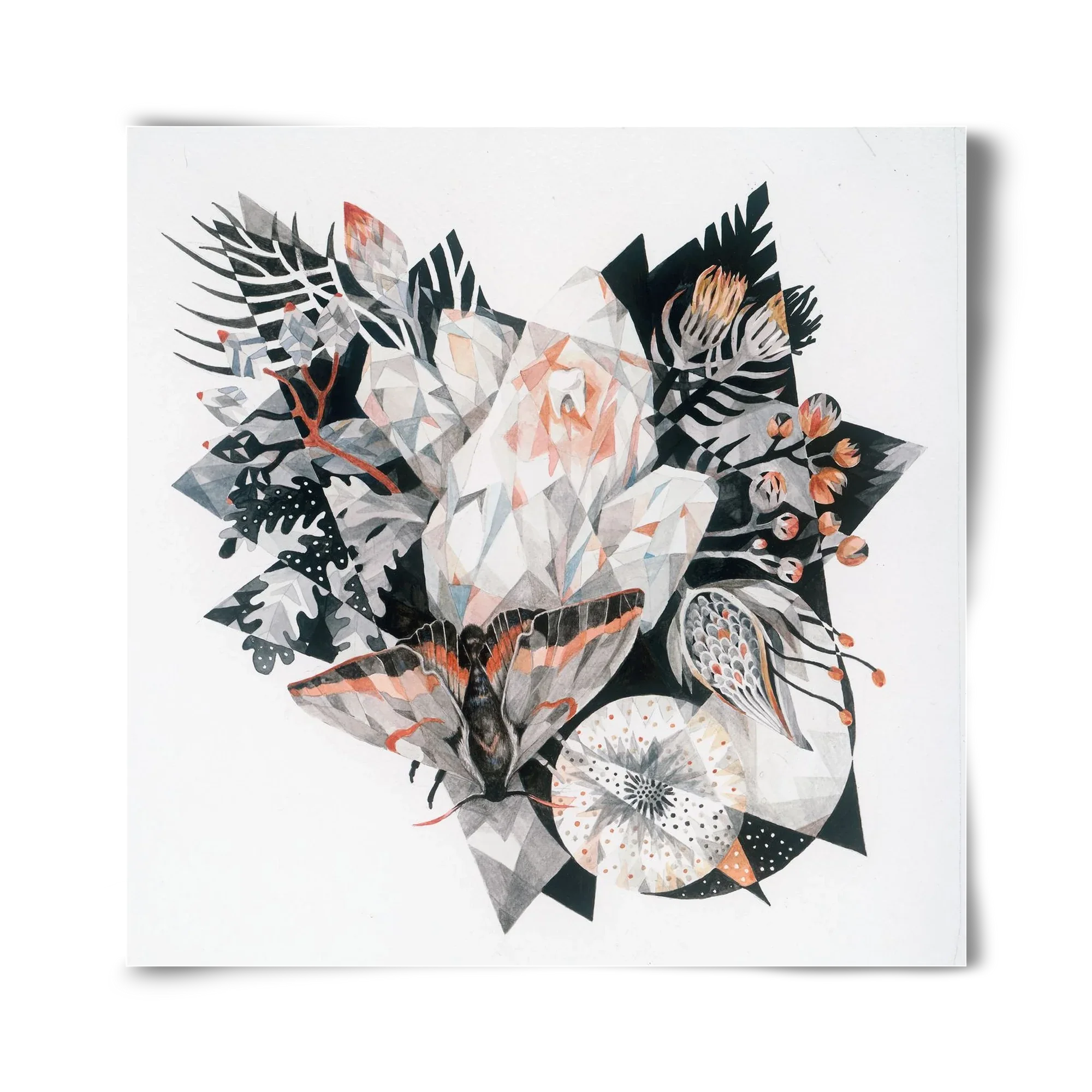 Metamorphosis - artbridge