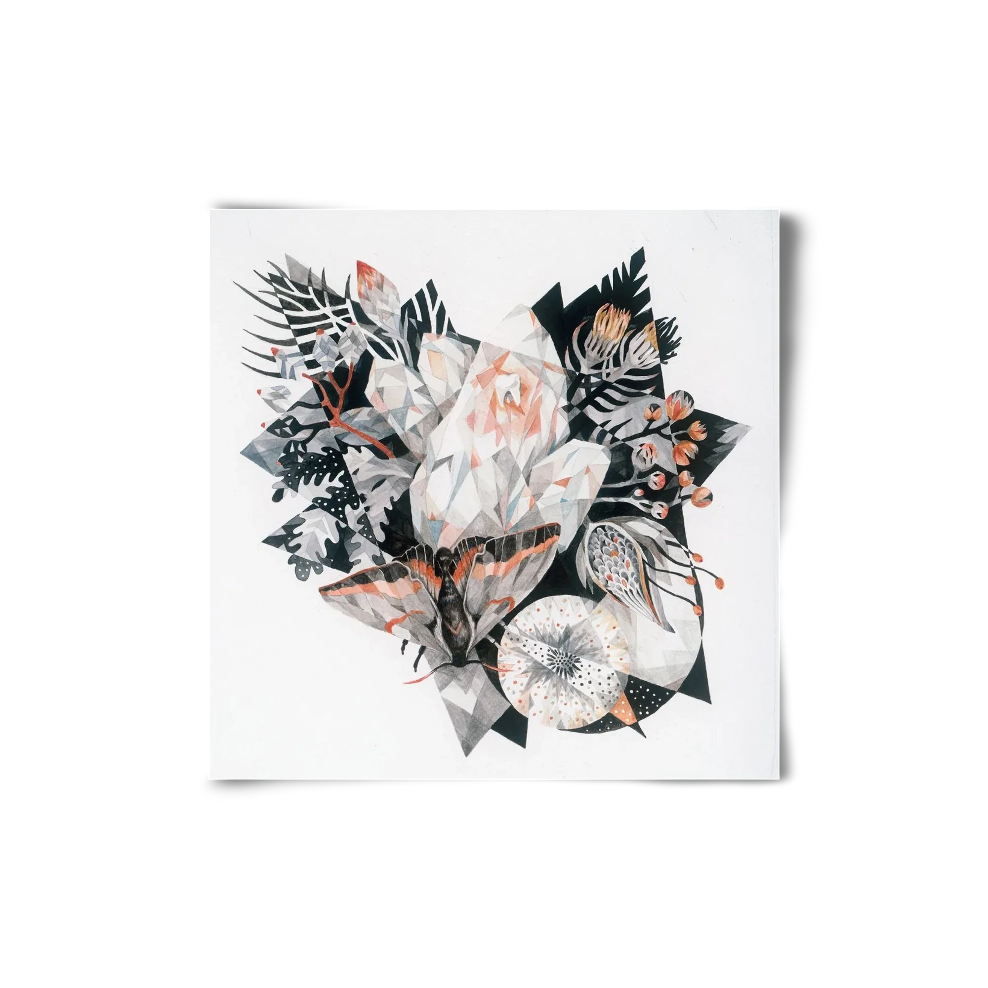 Metamorphosis - artbridge