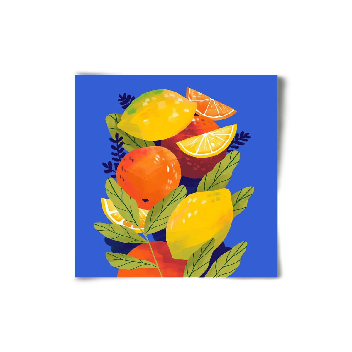 Citrus - artbridge
