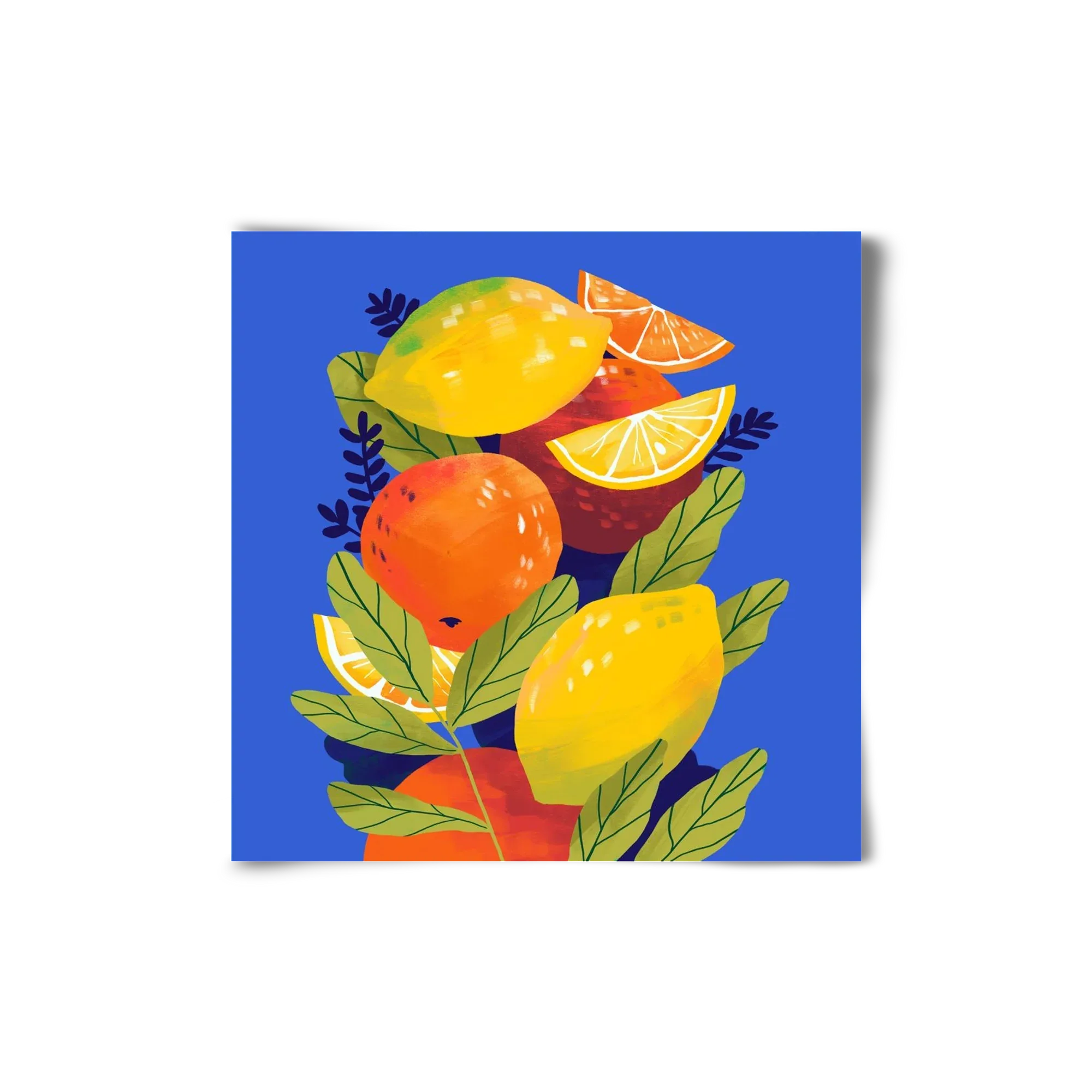 Citrus - artbridge