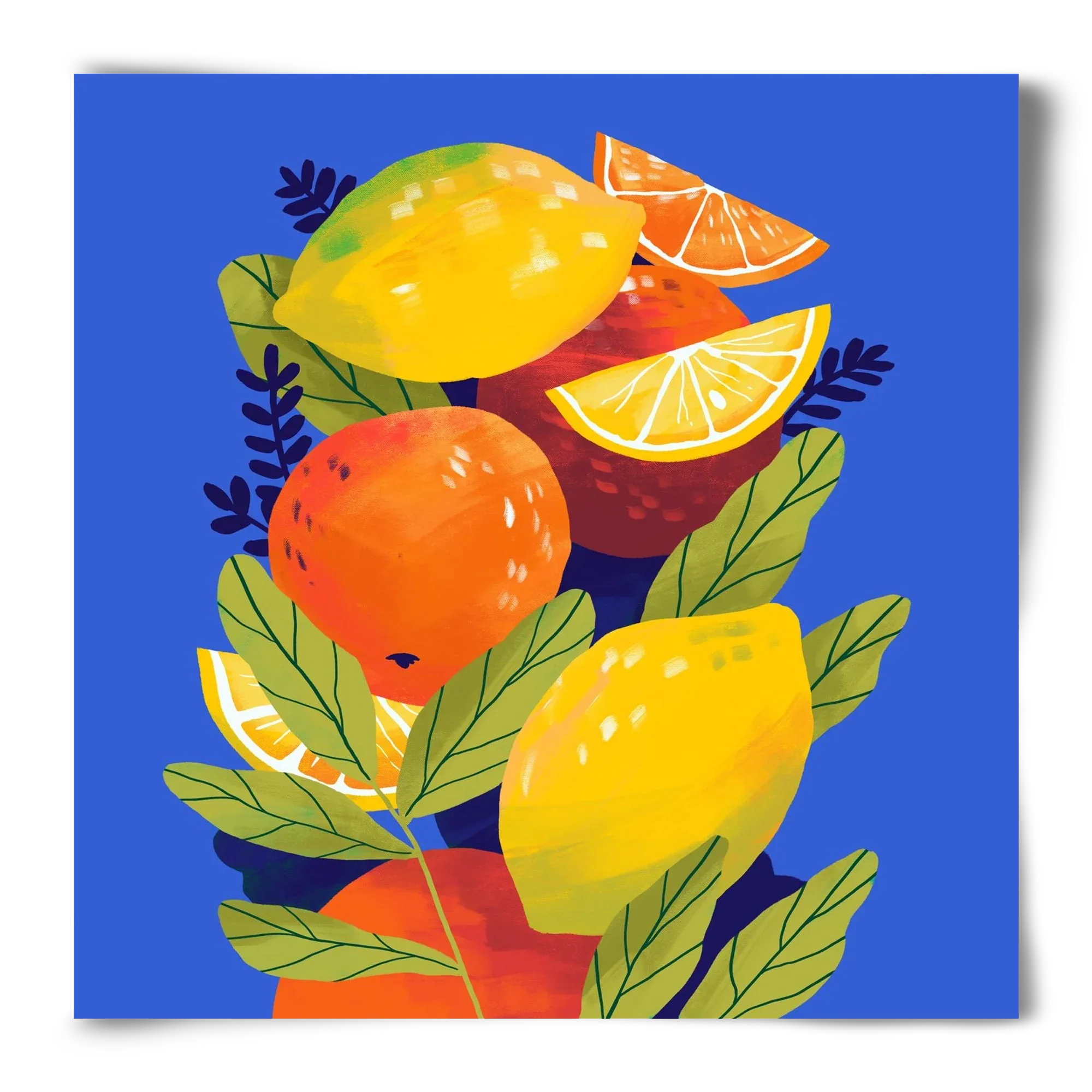 Citrus - artbridge