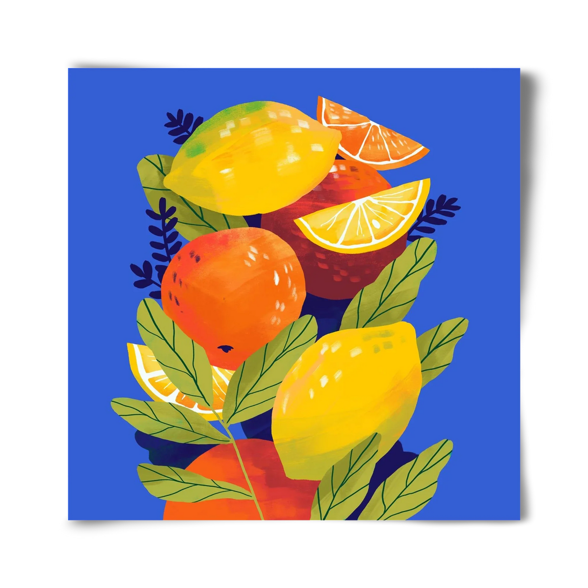 Citrus - artbridge
