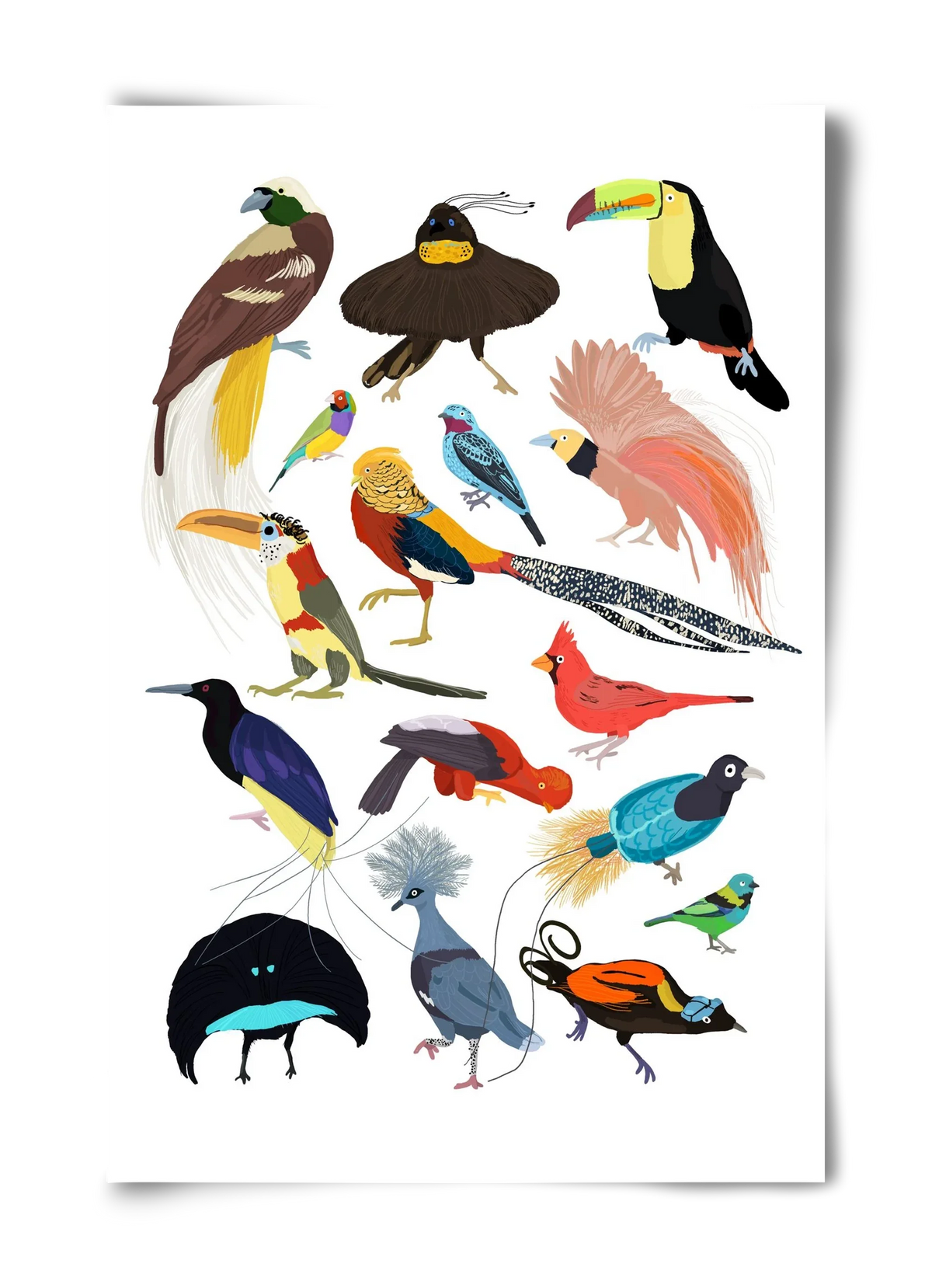 Birds of Prey - artbridge