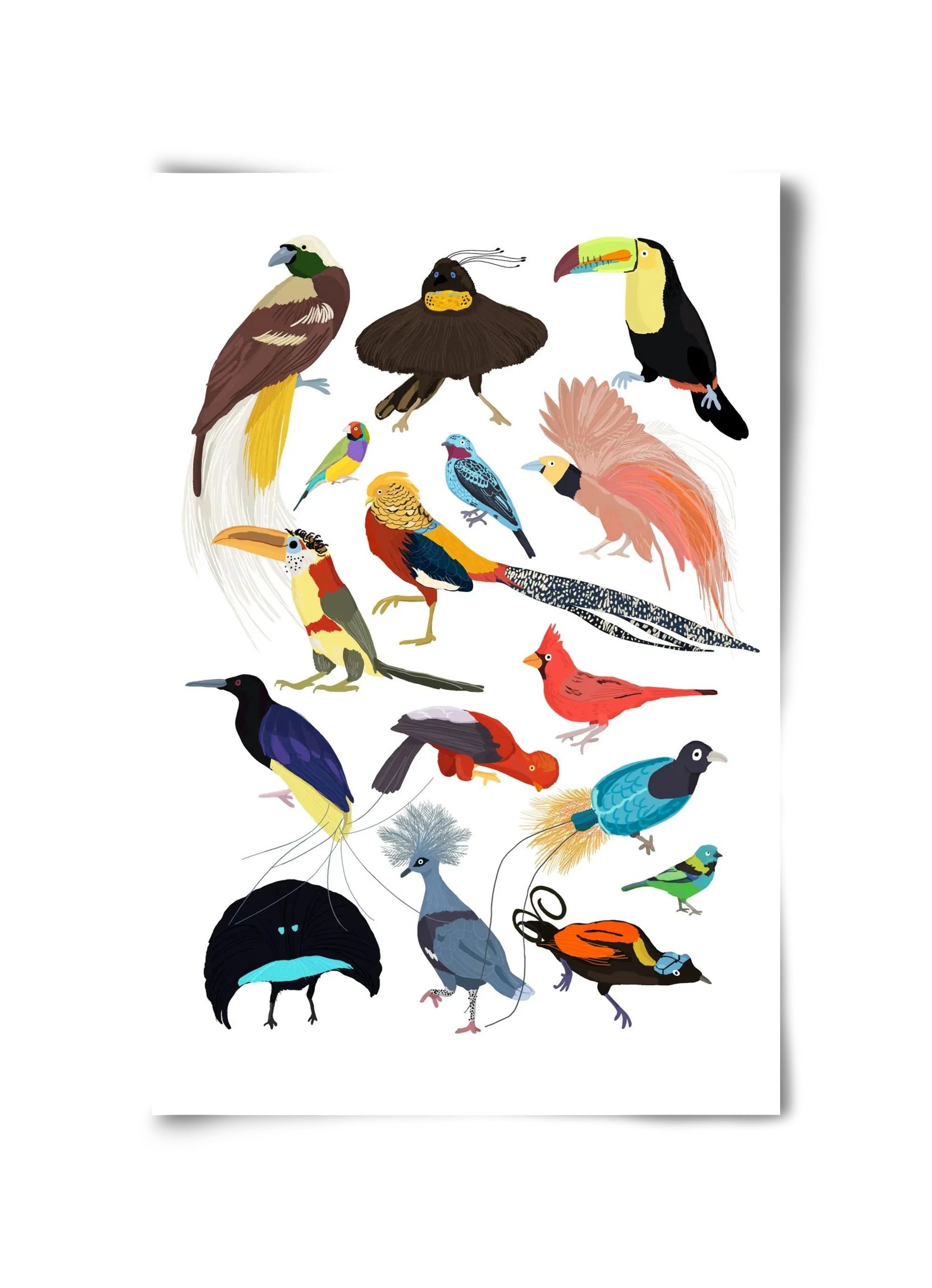 Birds of Prey - artbridge
