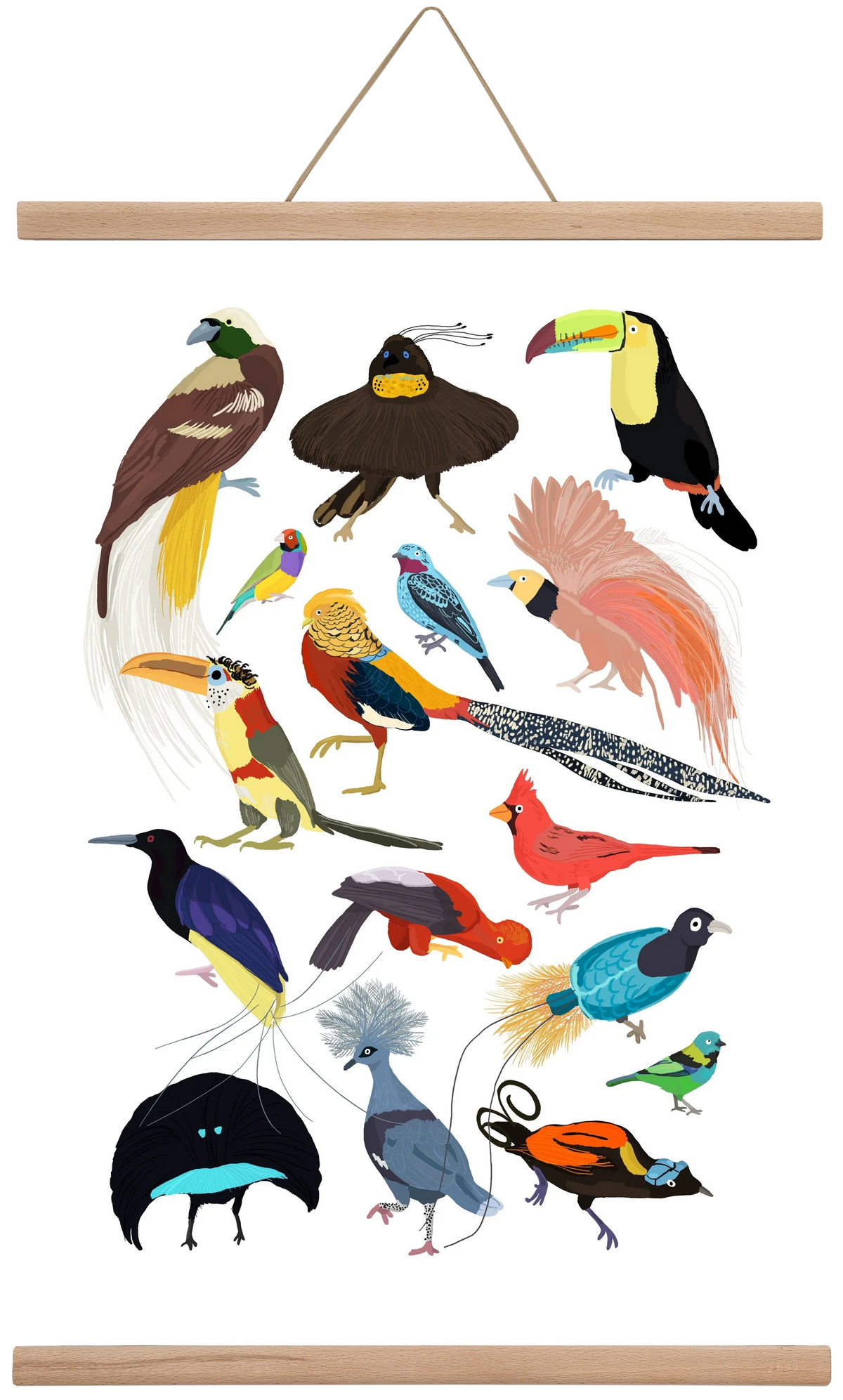 Birds of Prey - artbridge