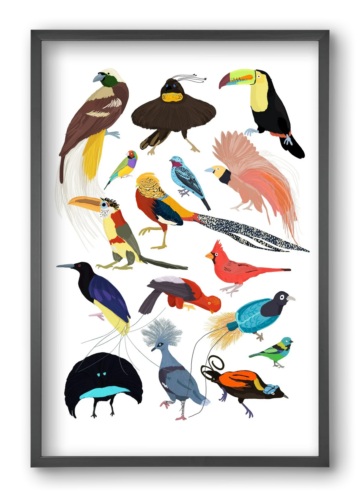 Birds of Prey - artbridge