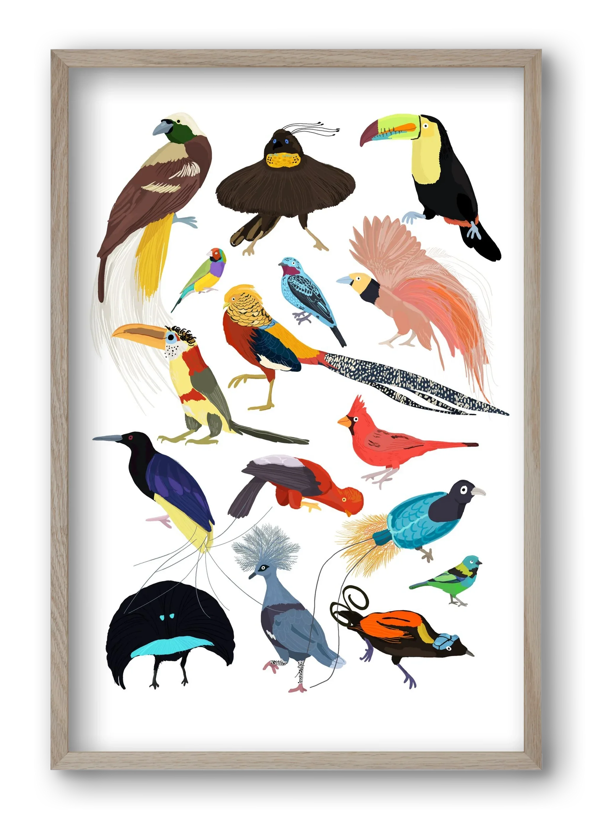 Birds of Prey - artbridge