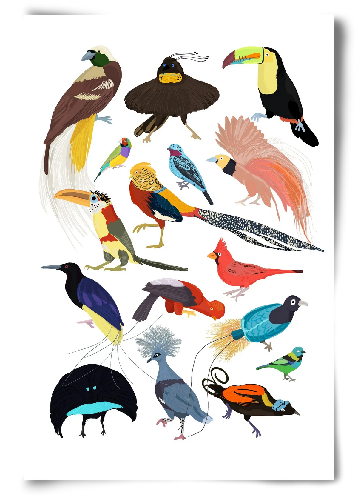 Birds of Prey - artbridge