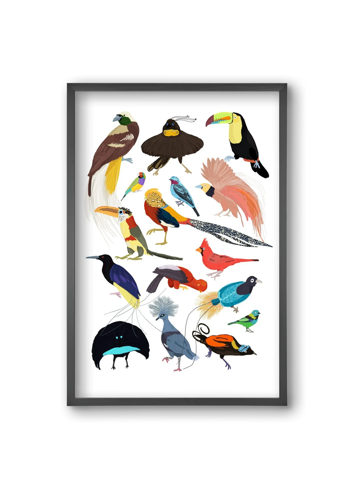 Birds of Prey - artbridge