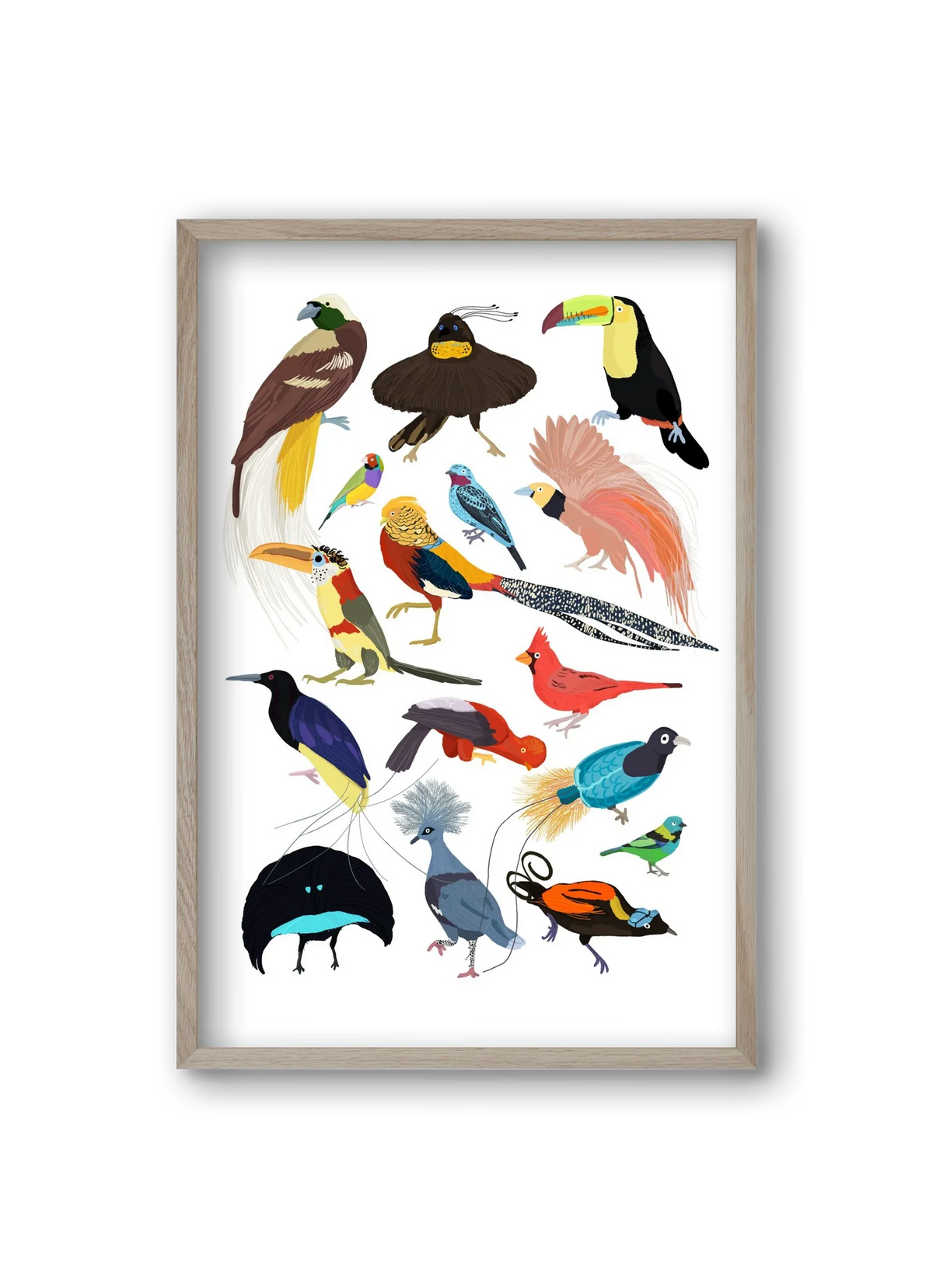 Birds of Prey - artbridge