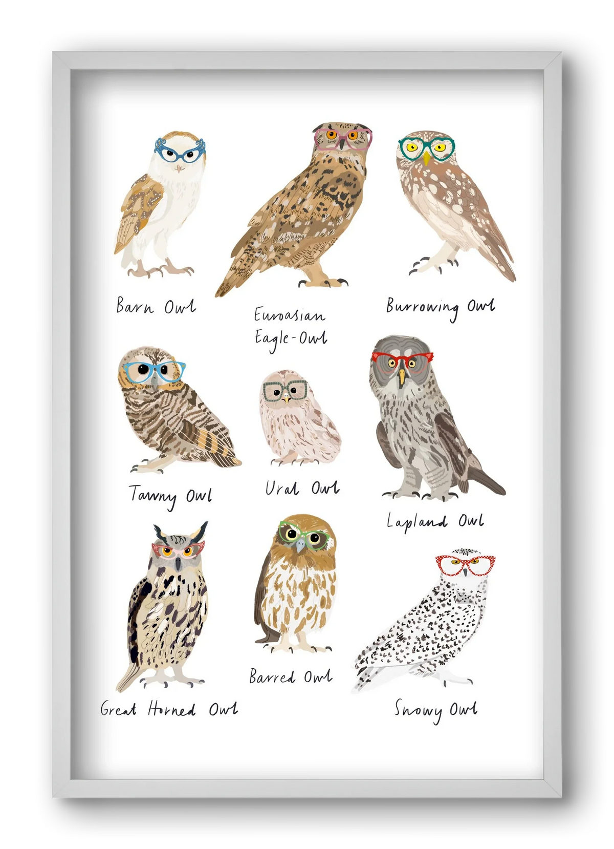 Owls in Glasses - artbridge