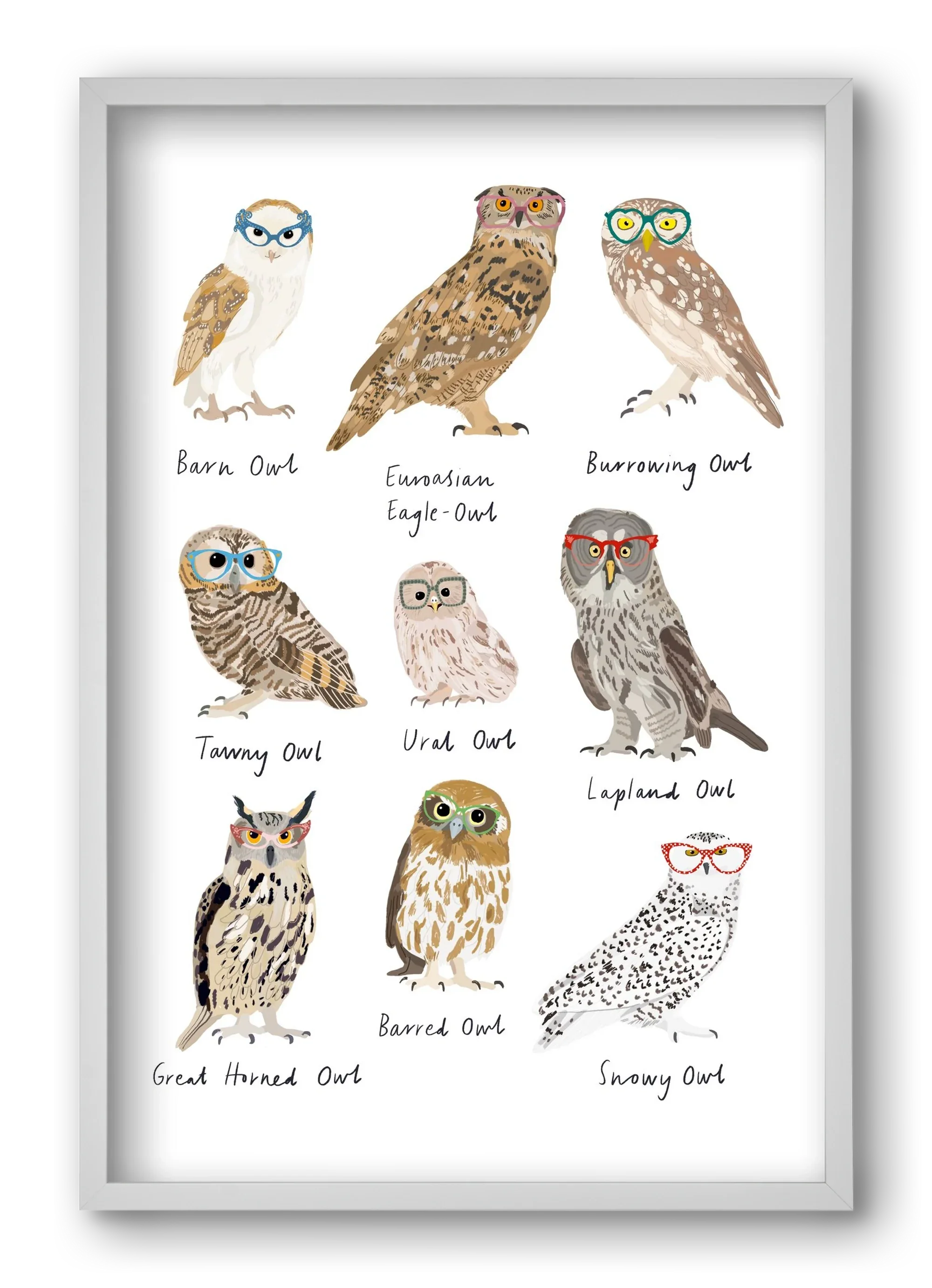 Owls in Glasses - artbridge