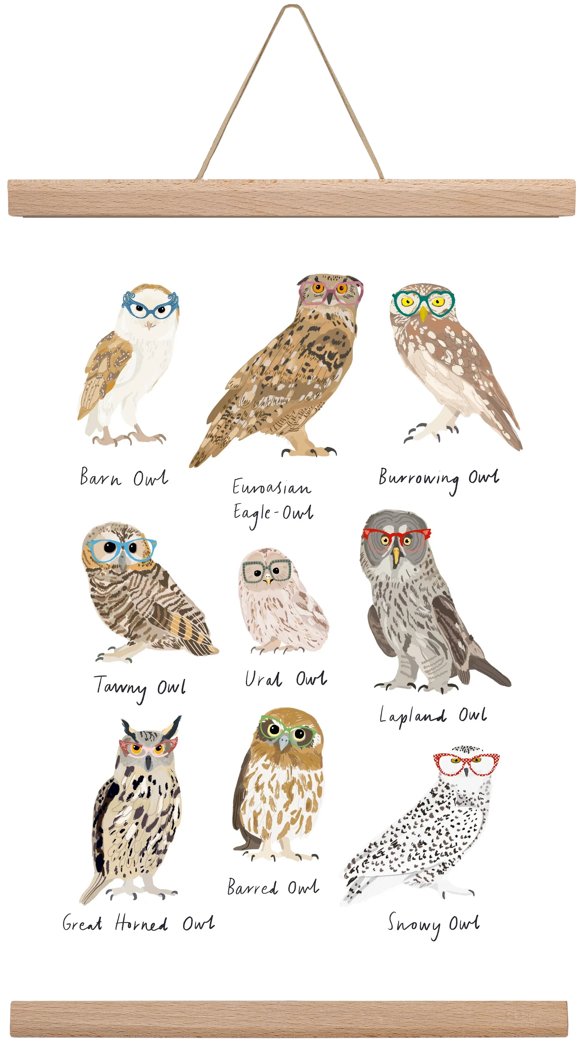 Owls in Glasses - artbridge