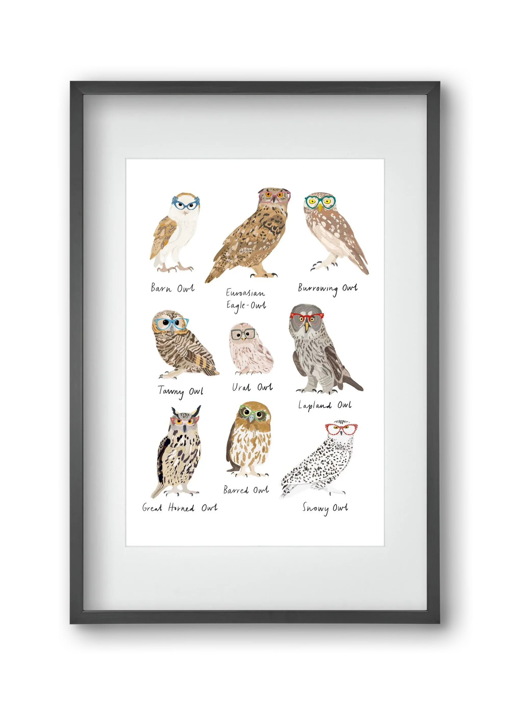 Owls in Glasses - artbridge