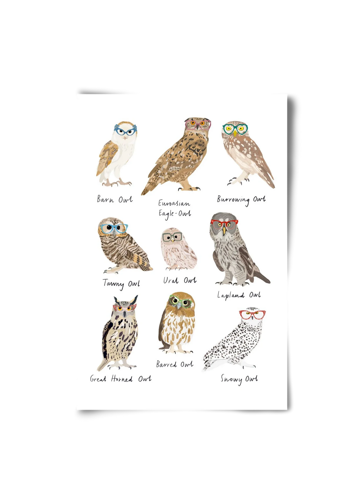 Owls in Glasses - artbridge