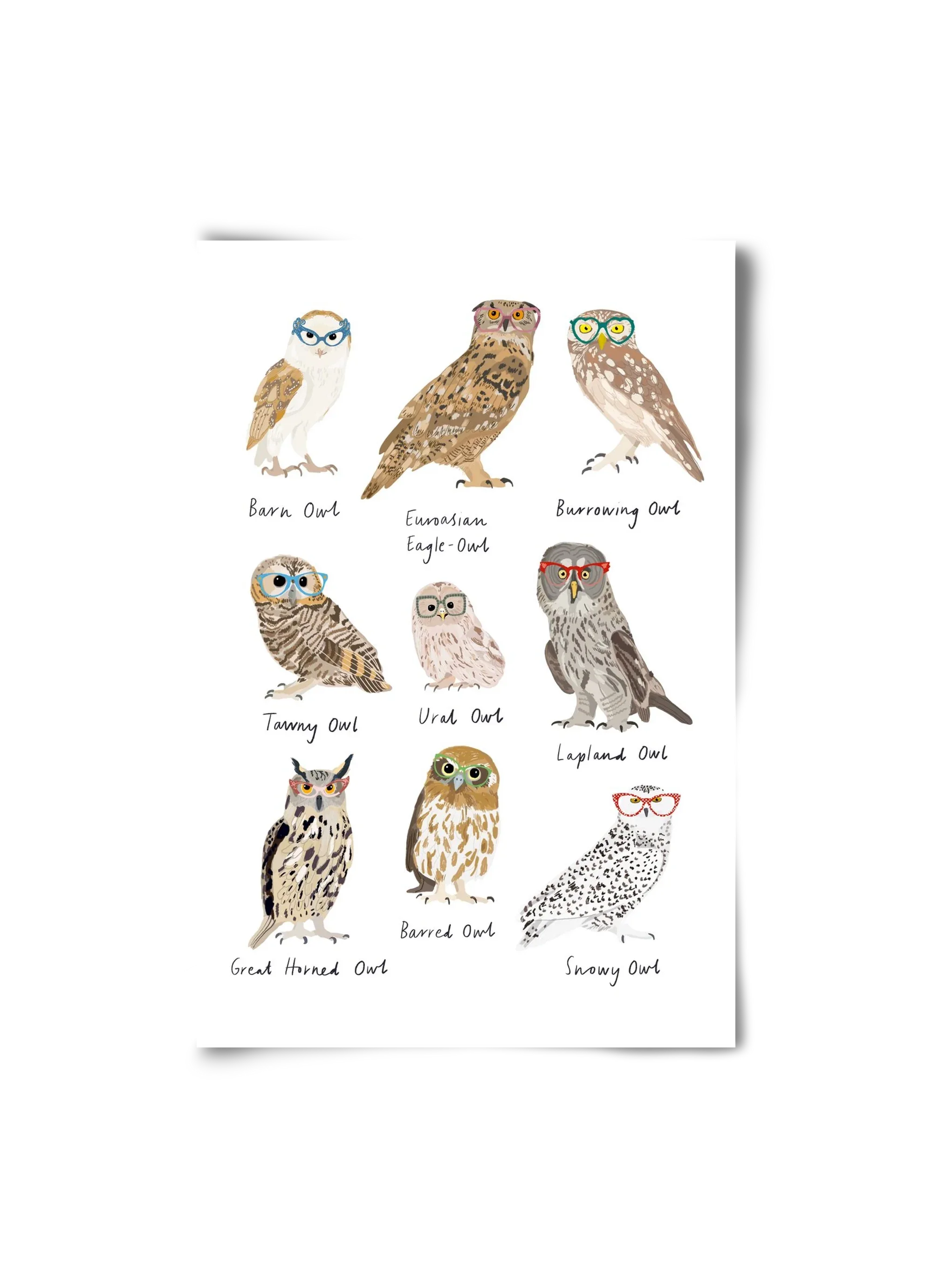 Owls in Glasses - artbridge