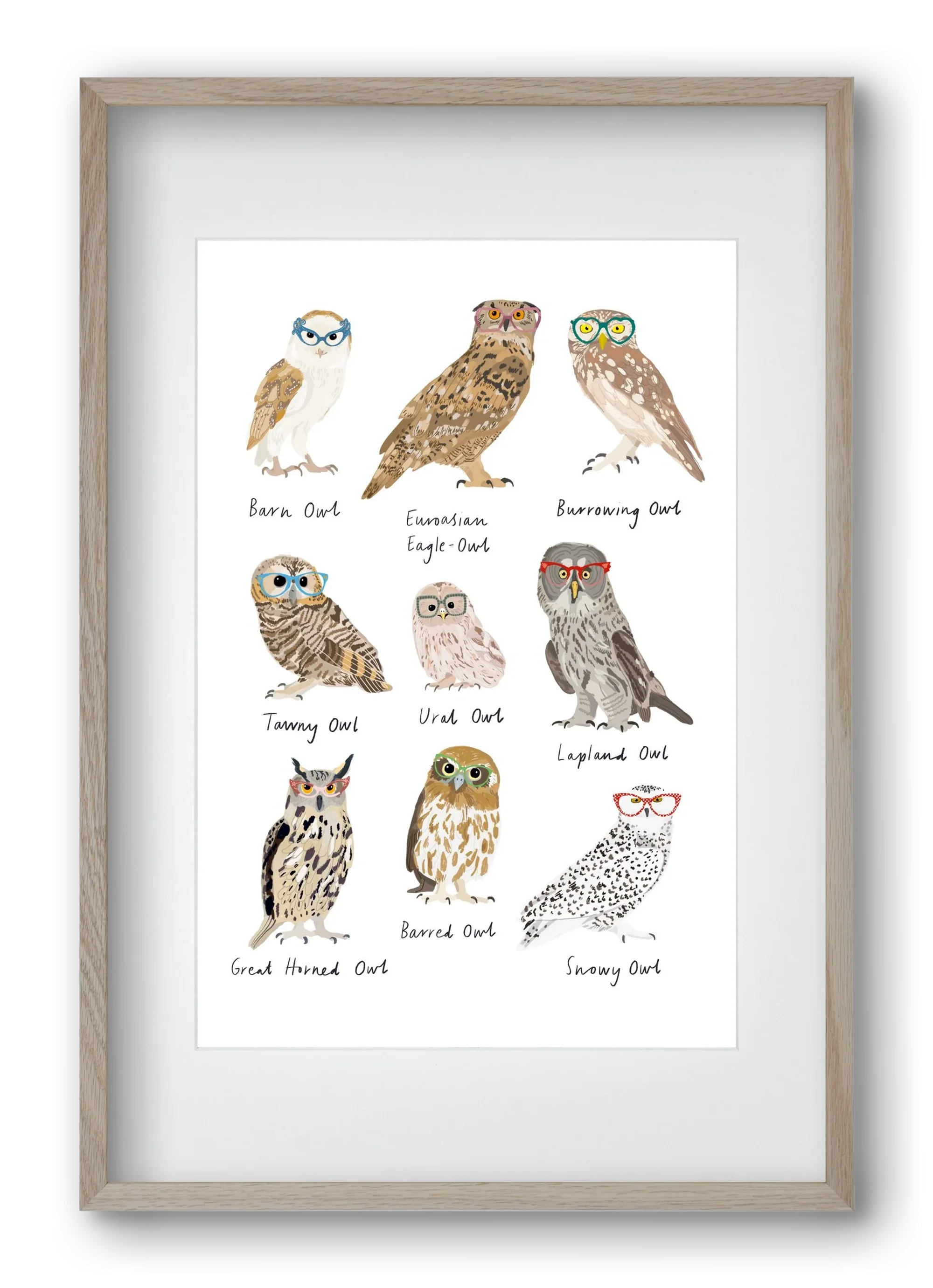 Owls in Glasses - artbridge