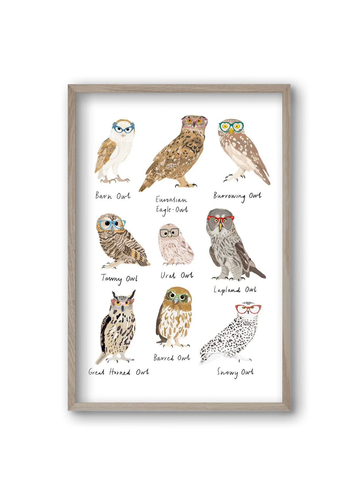 Owls in Glasses - artbridge