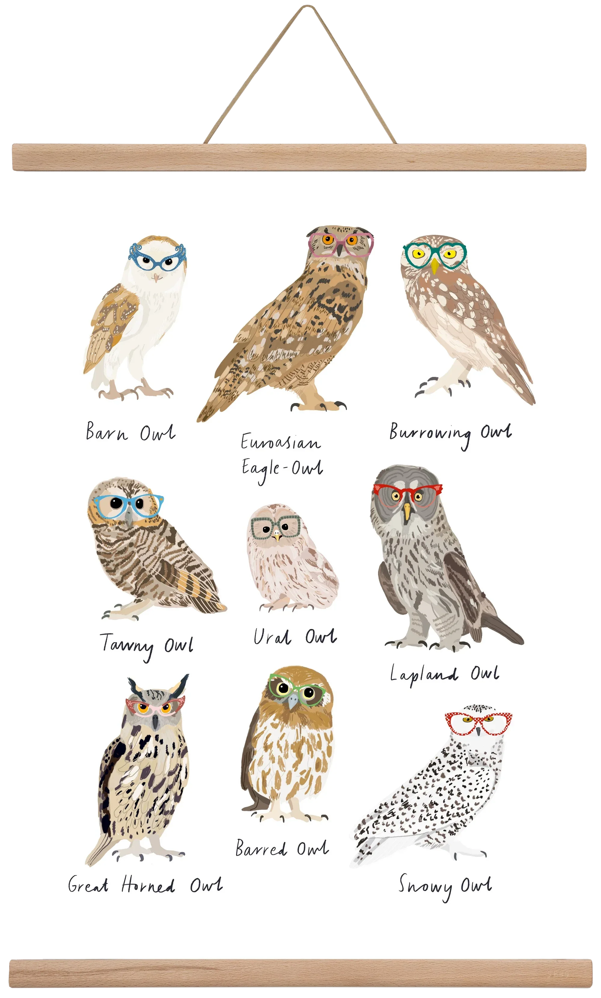 Owls in Glasses - artbridge
