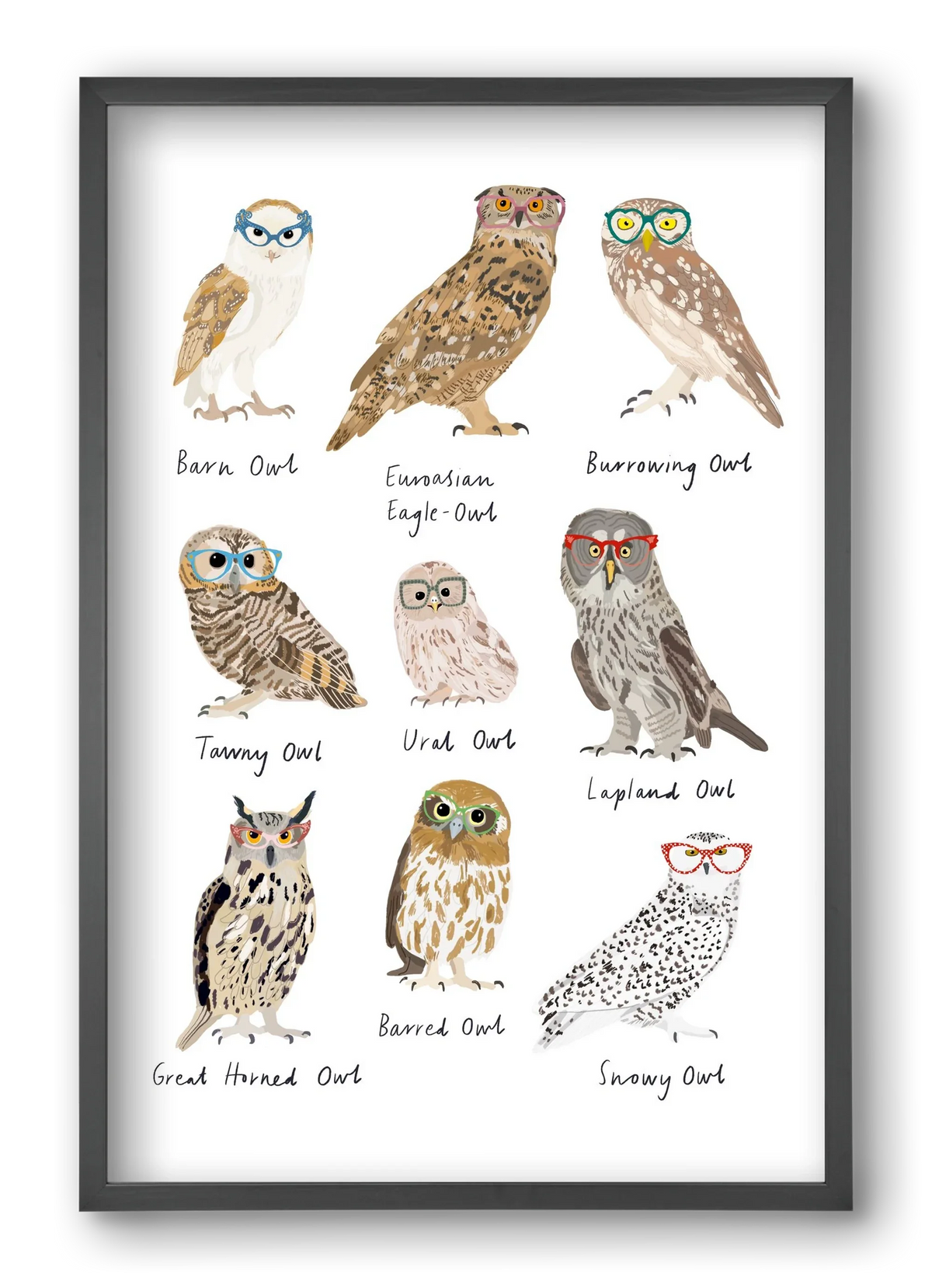 Owls in Glasses - artbridge