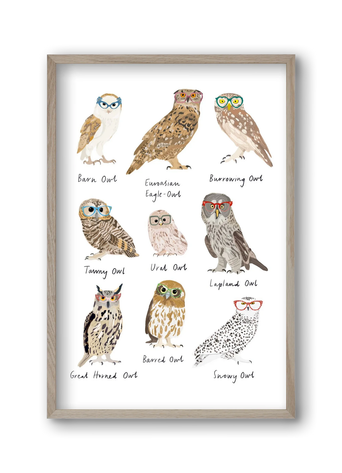 Owls in Glasses - artbridge