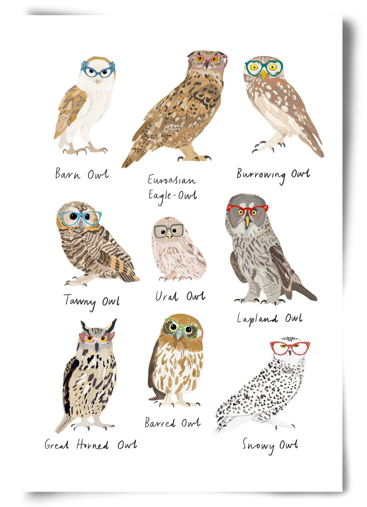 Owls in Glasses - artbridge