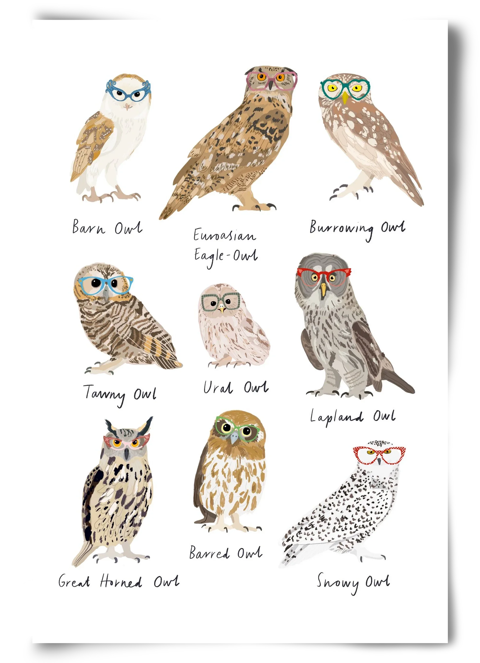 Owls in Glasses - artbridge