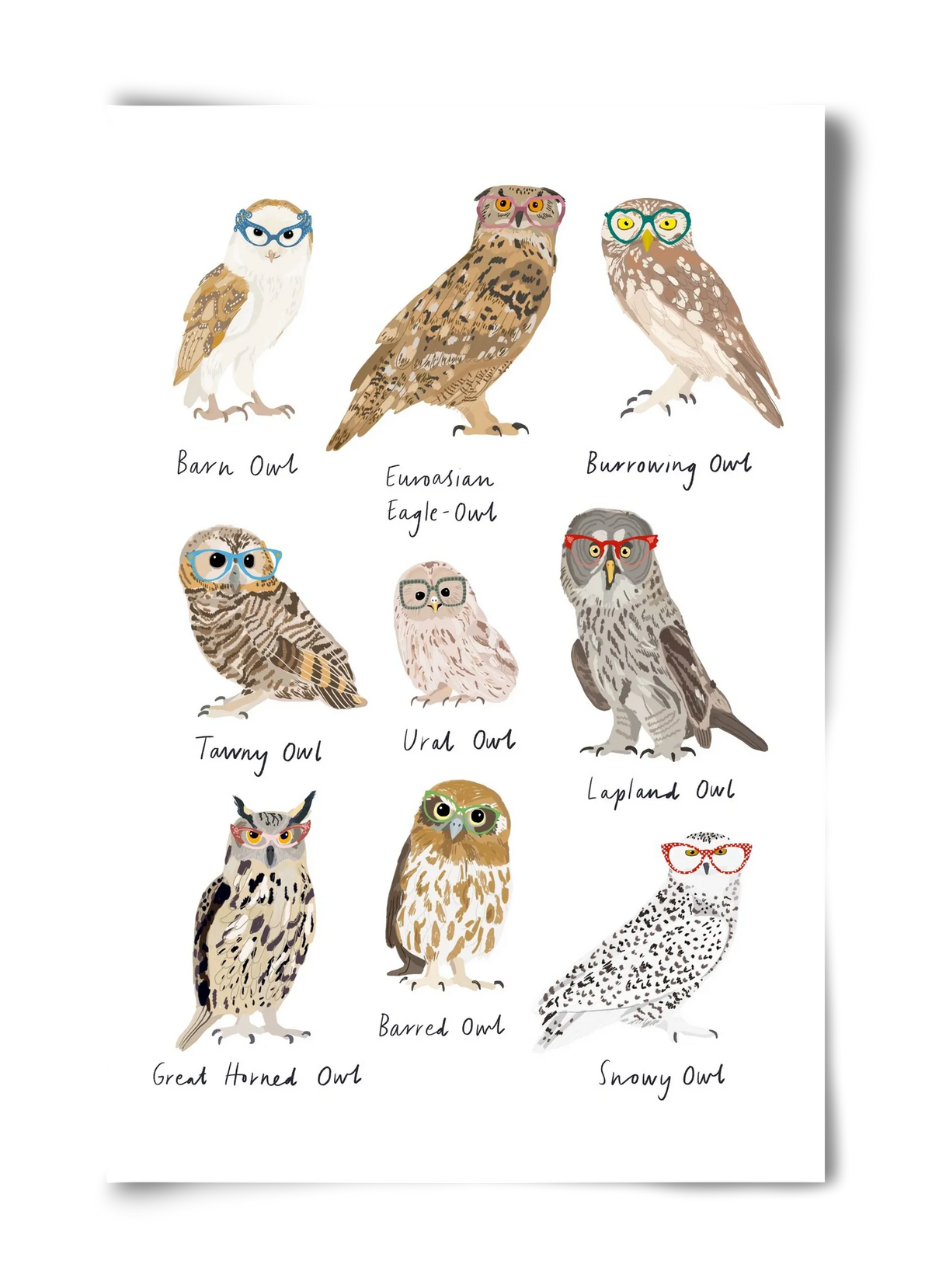 Owls in Glasses - artbridge