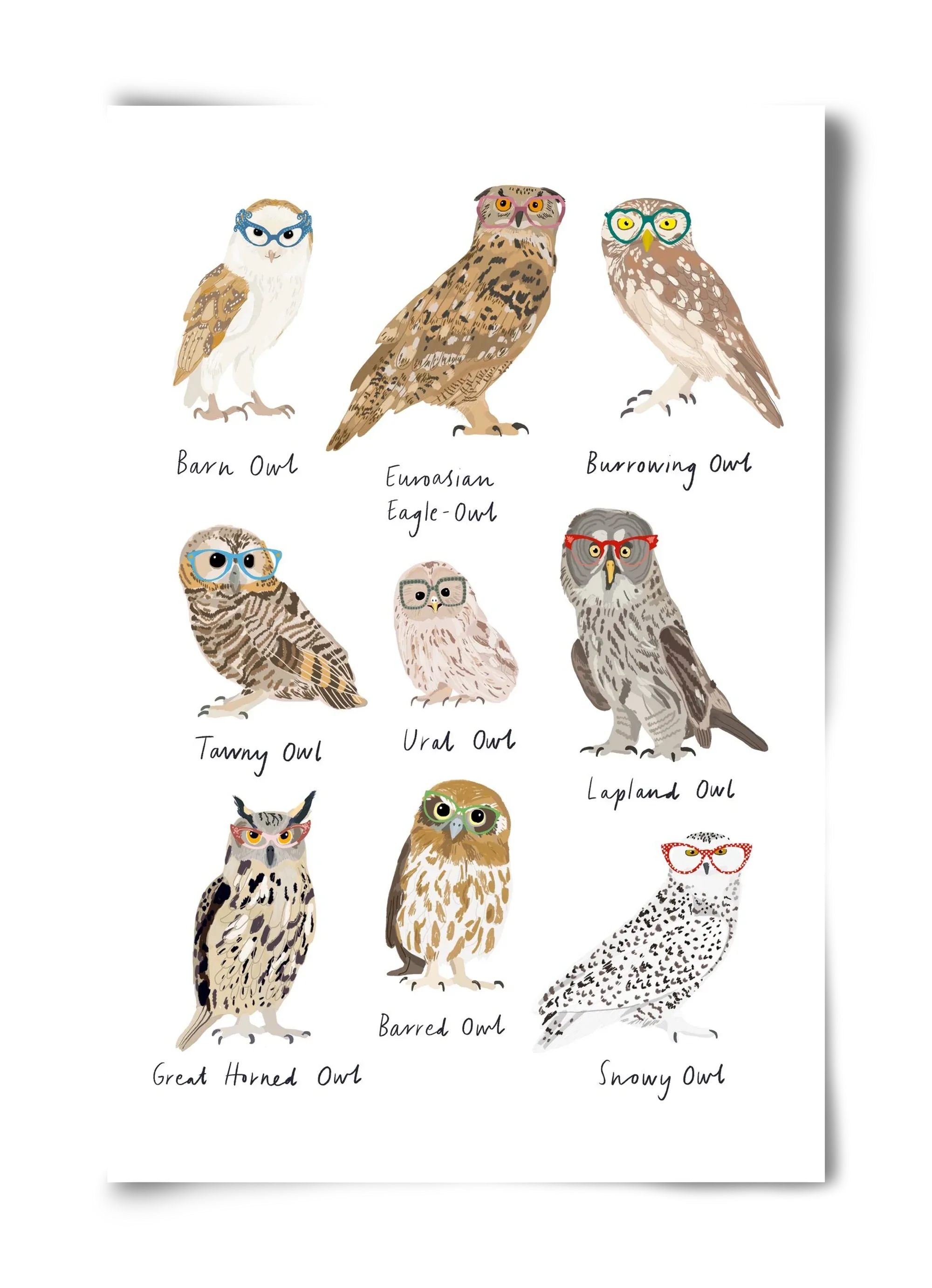 Owls in Glasses - artbridge