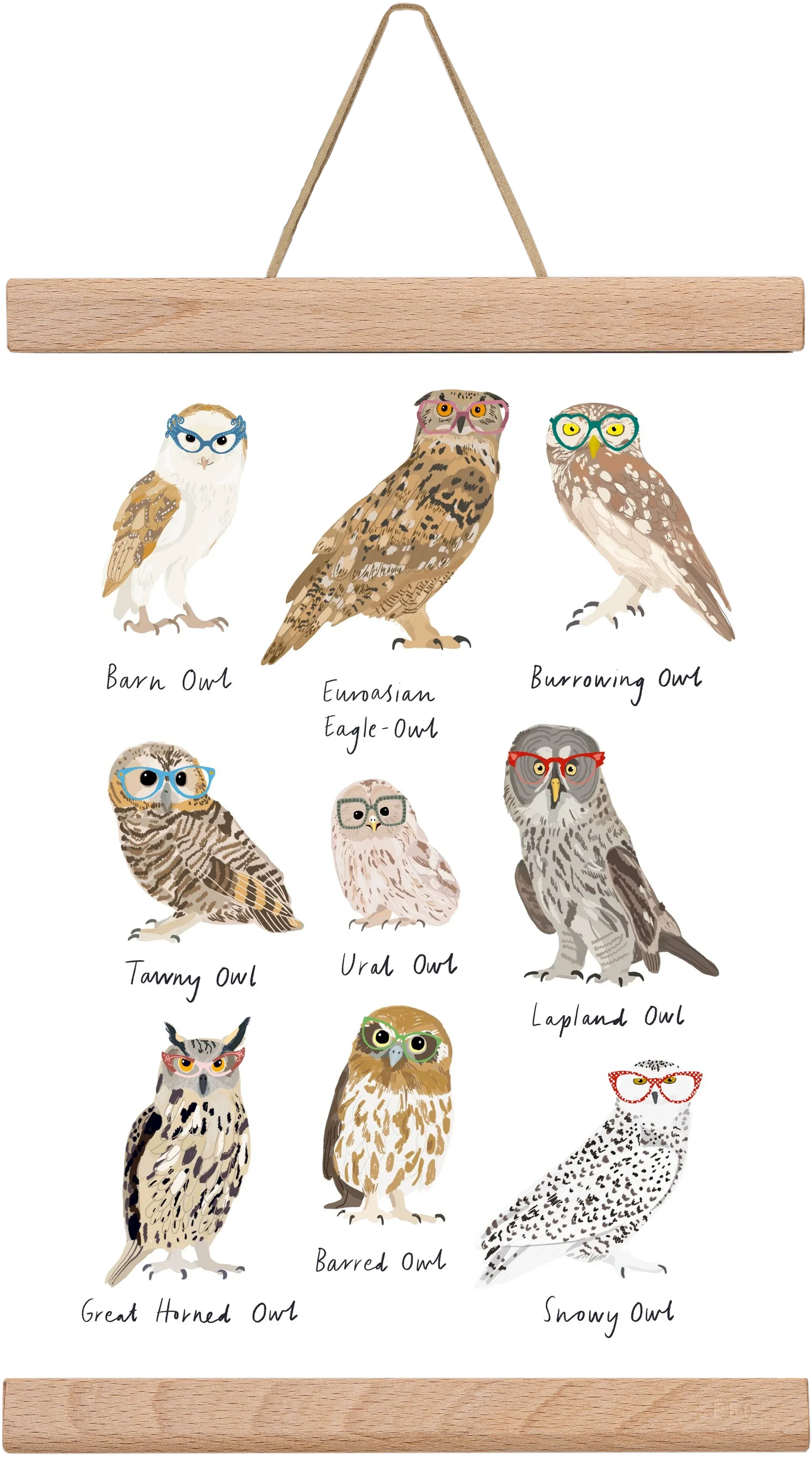 Owls in Glasses - artbridge