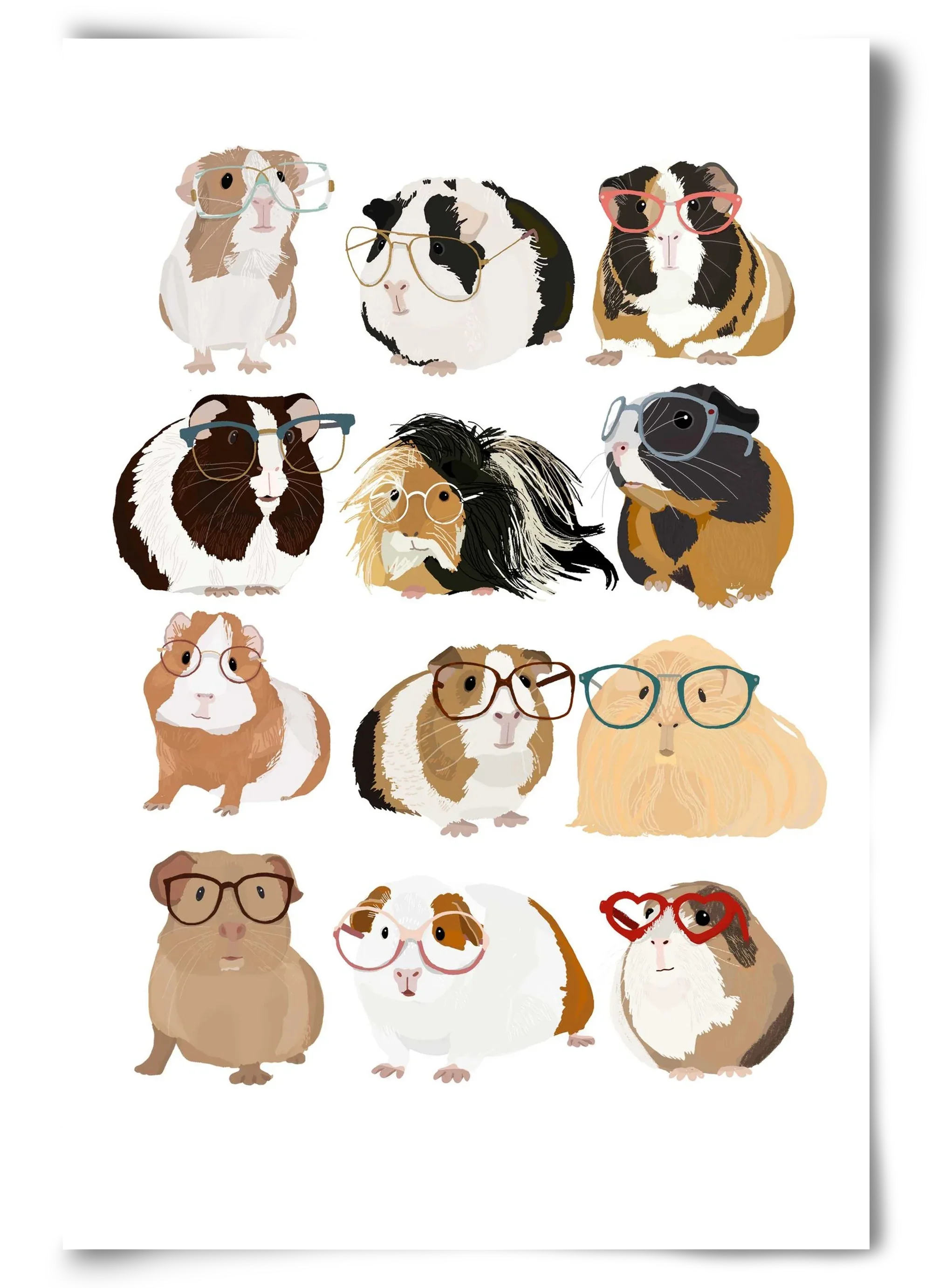 Guinea Pigs in Glasses - artbridge