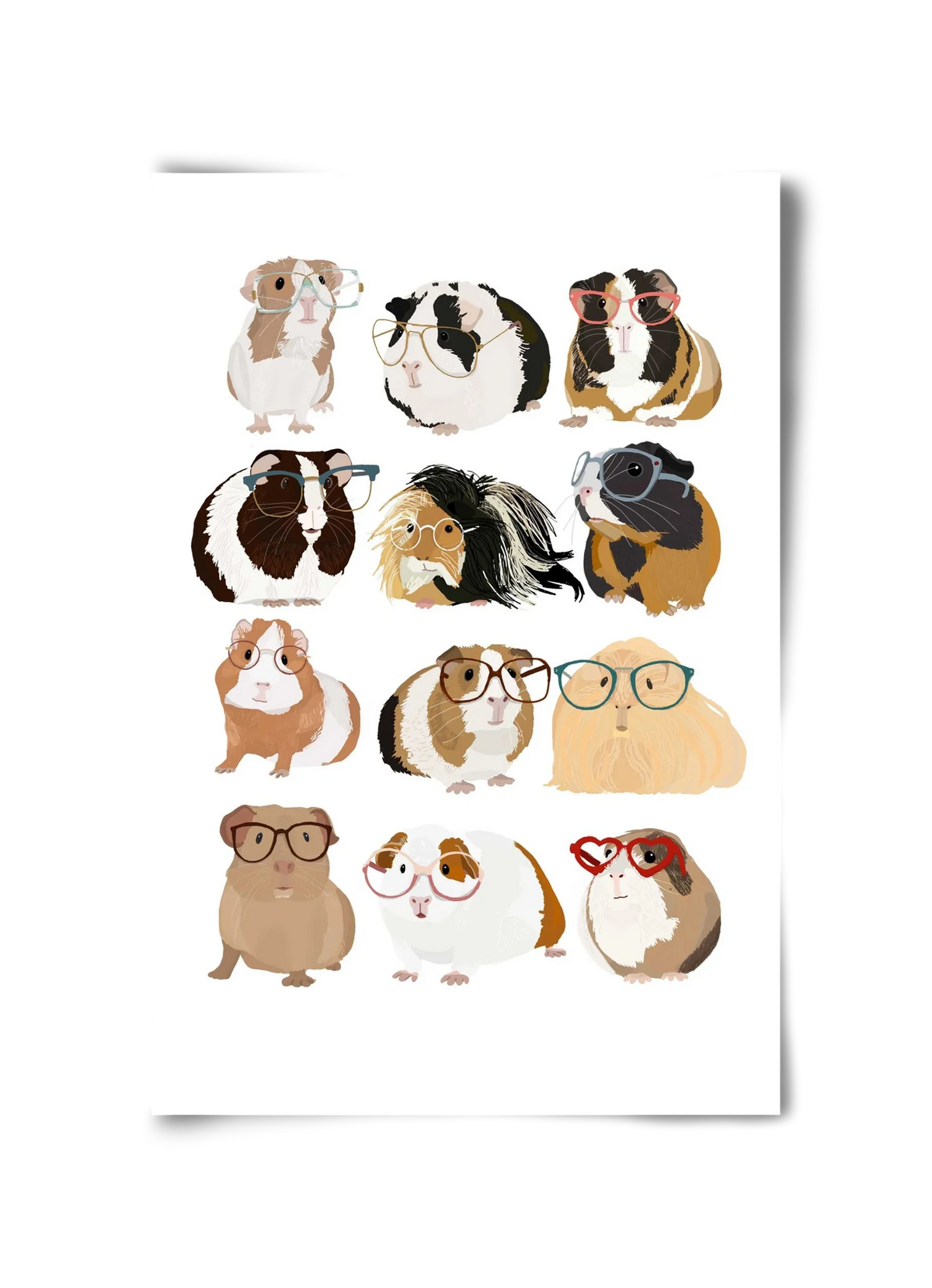 Guinea Pigs in Glasses - artbridge