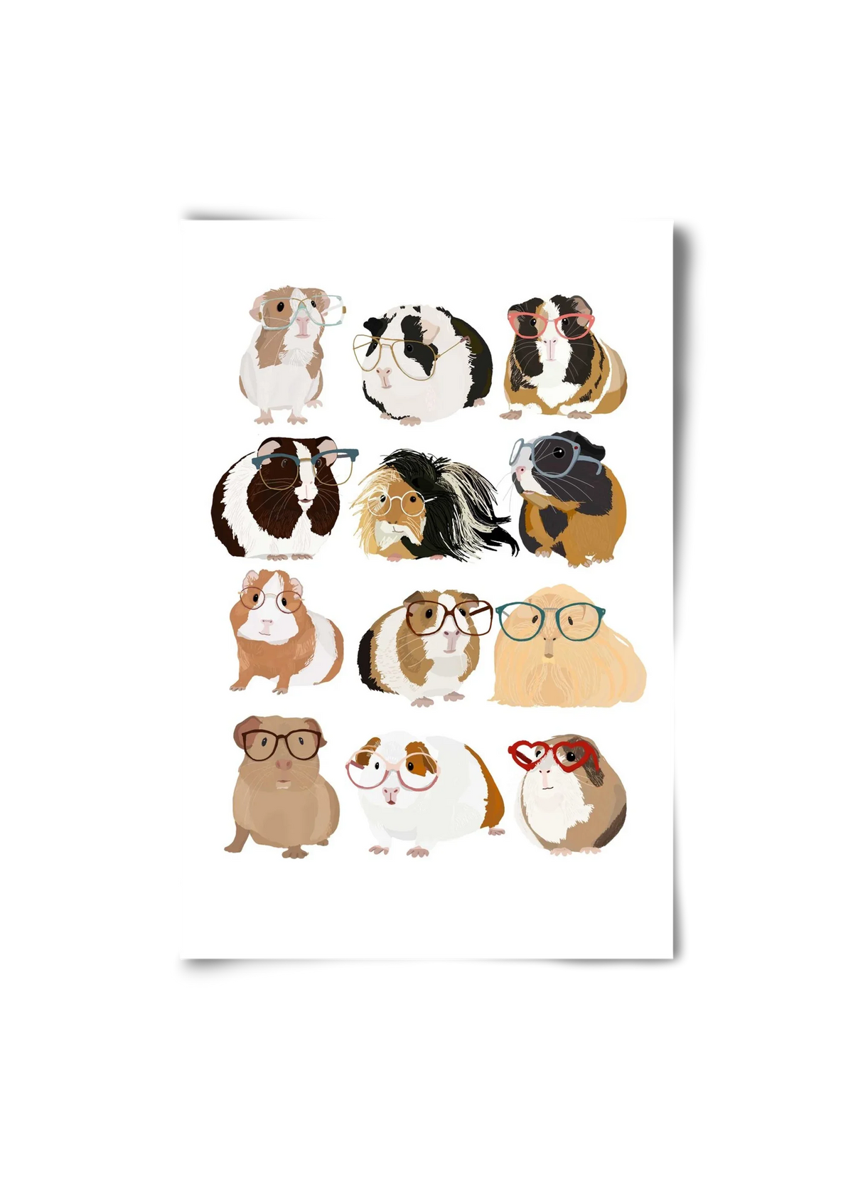 Guinea Pigs in Glasses - artbridge