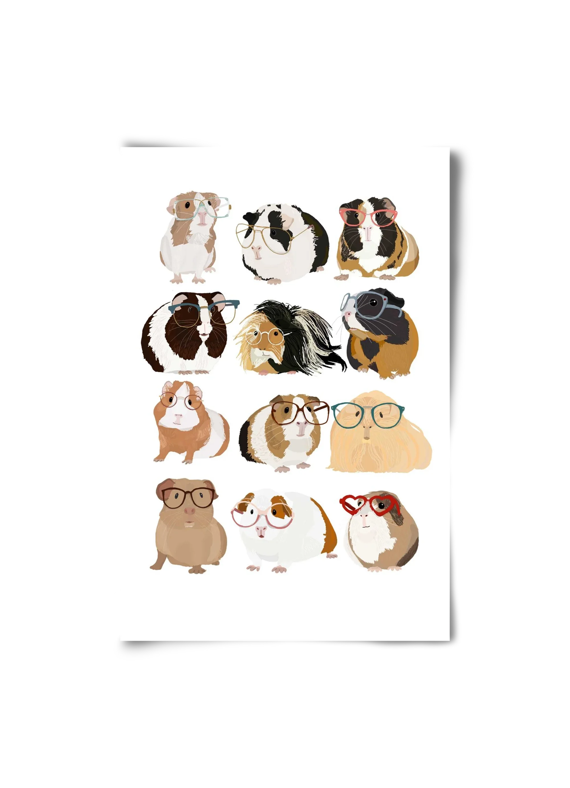 Guinea Pigs in Glasses - artbridge