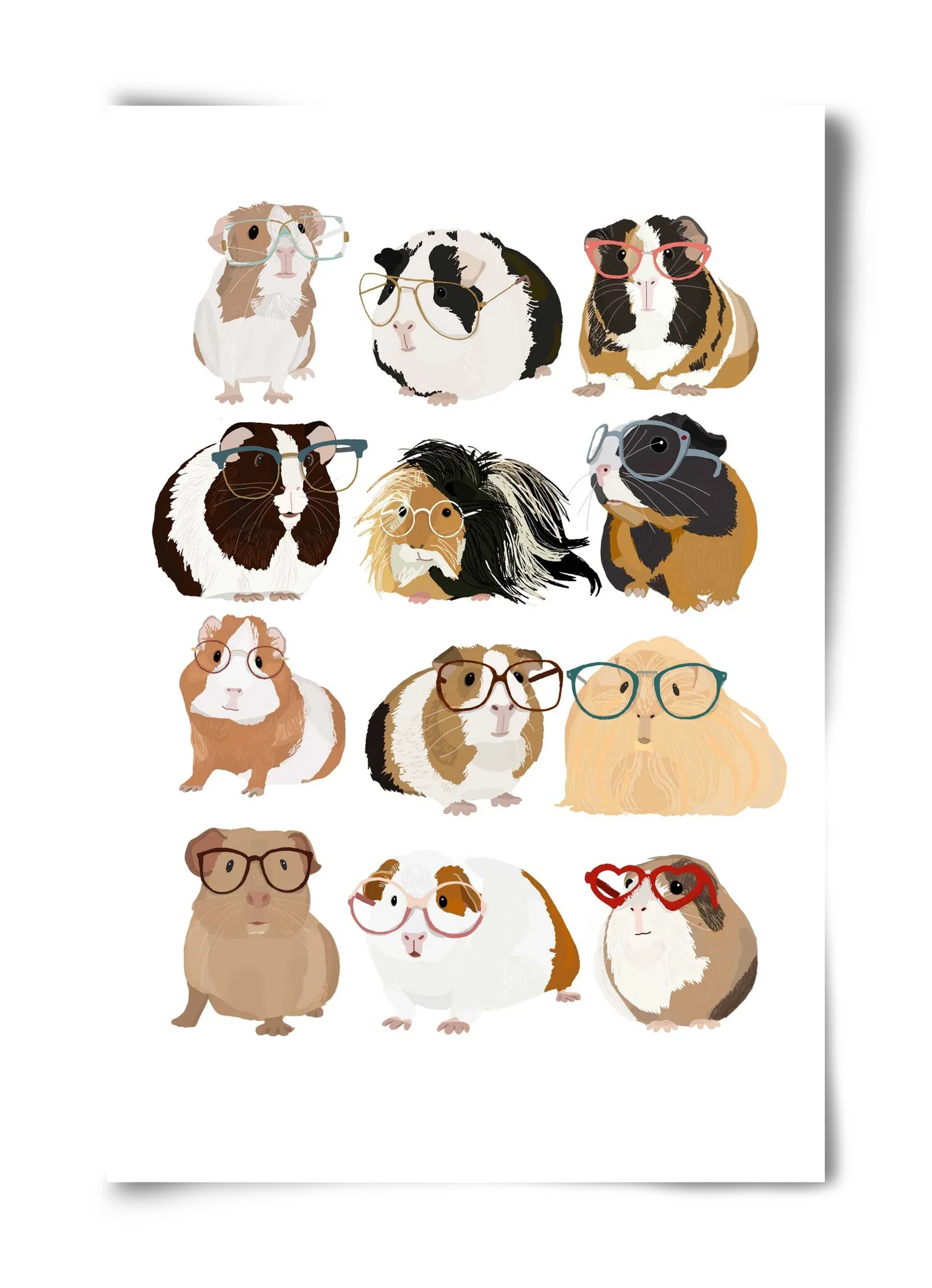Guinea Pigs in Glasses - artbridge