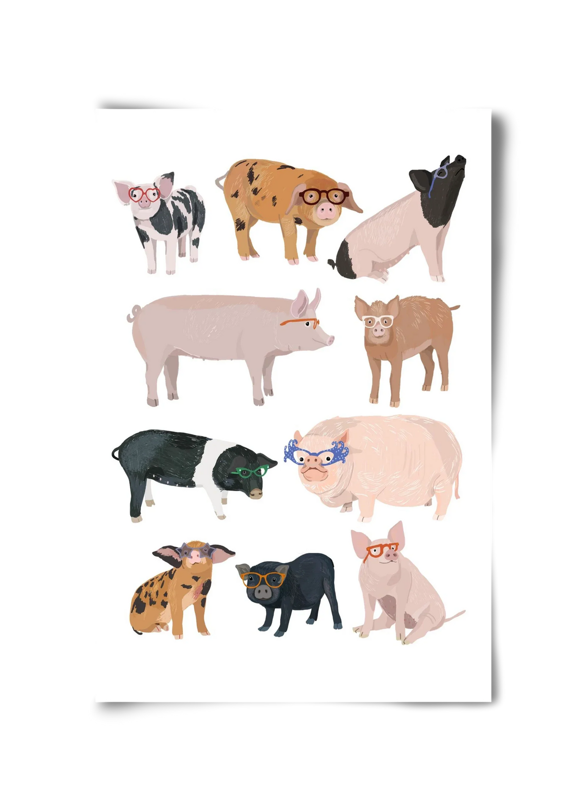 Pigs in Glasses - artbridge