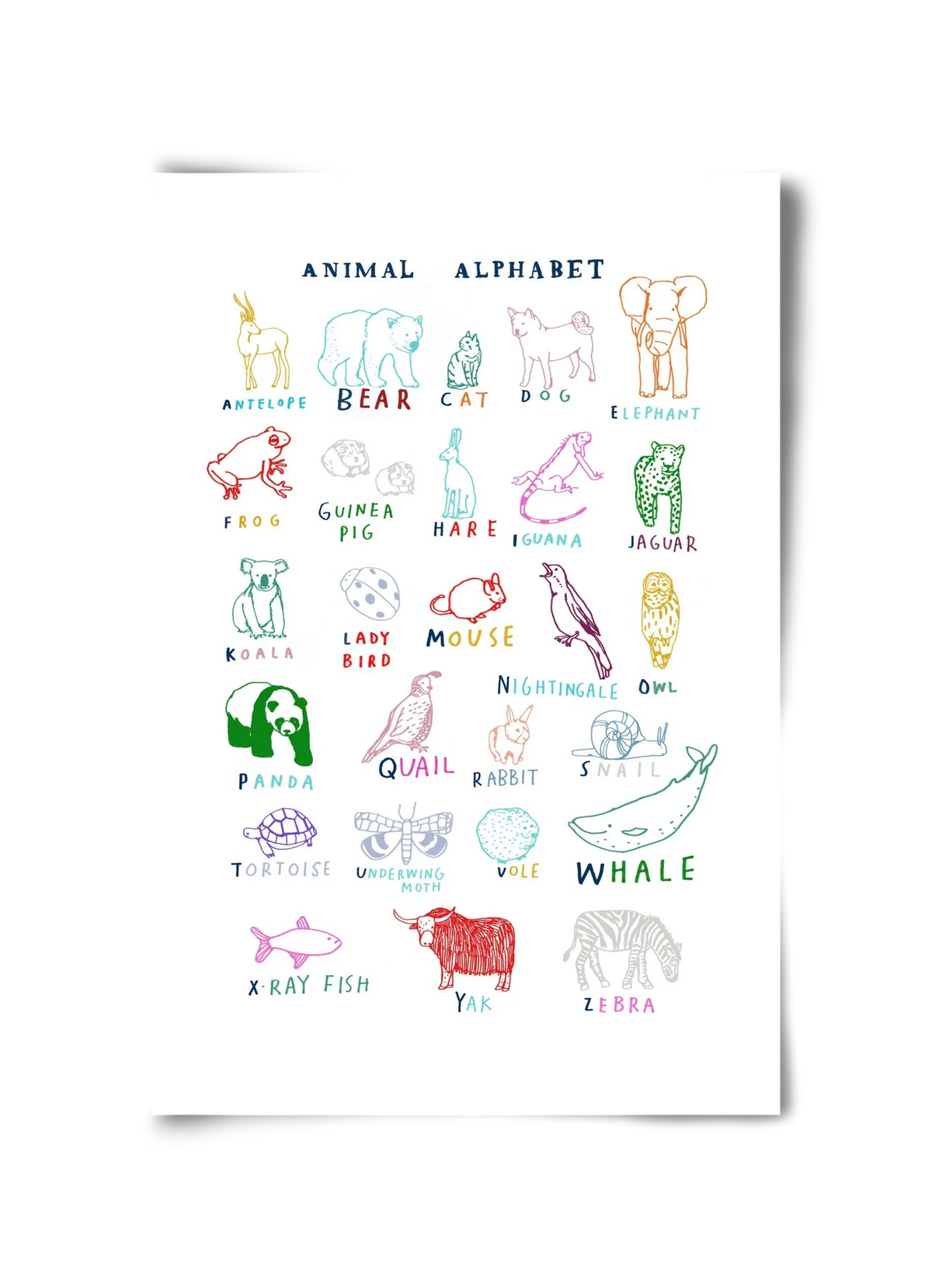 Animal Alphabeth - artbridge