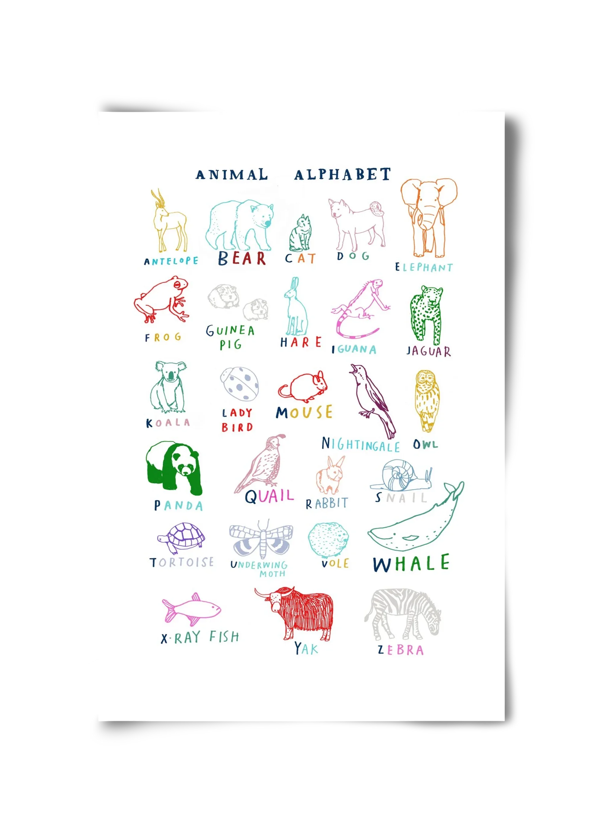 Animal Alphabeth - artbridge