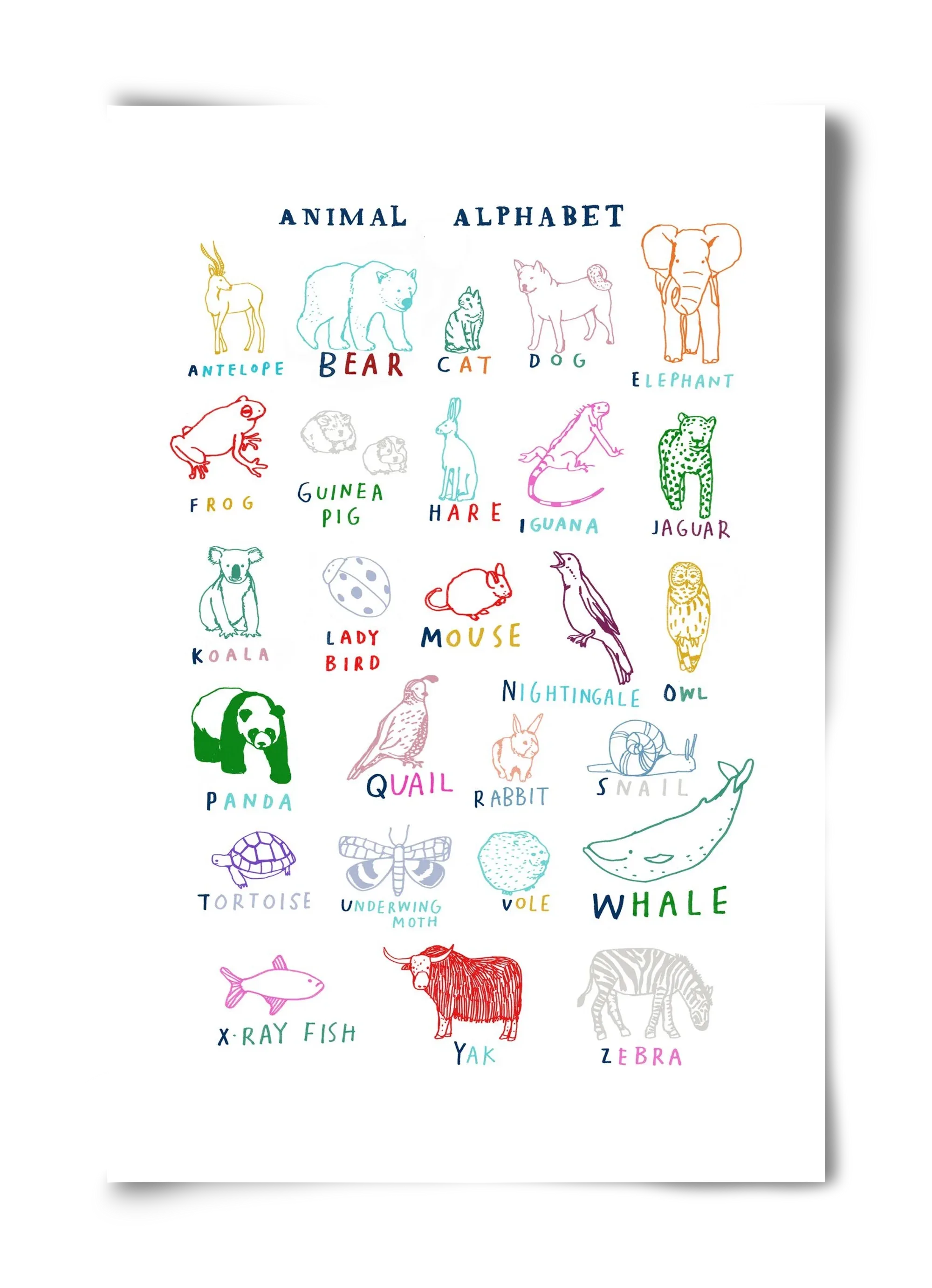 Animal Alphabeth - artbridge