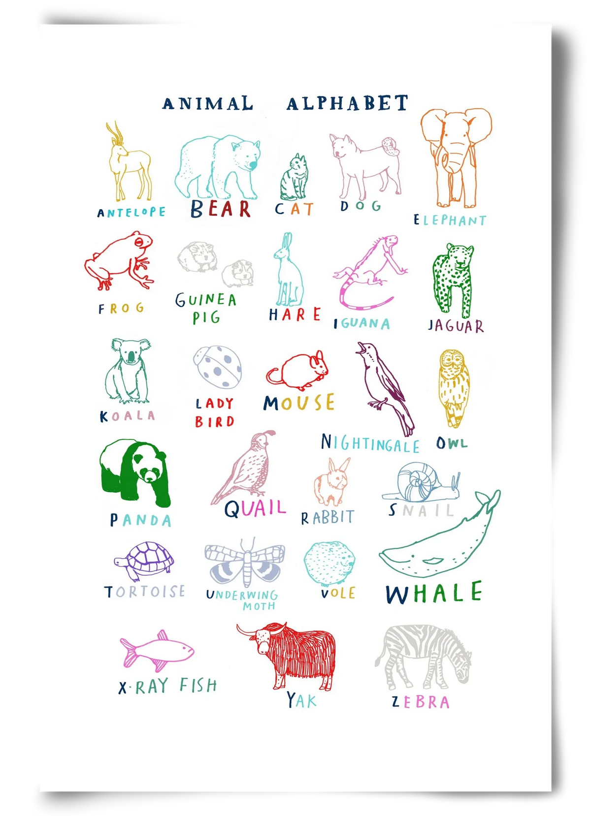 Animal Alphabeth - artbridge