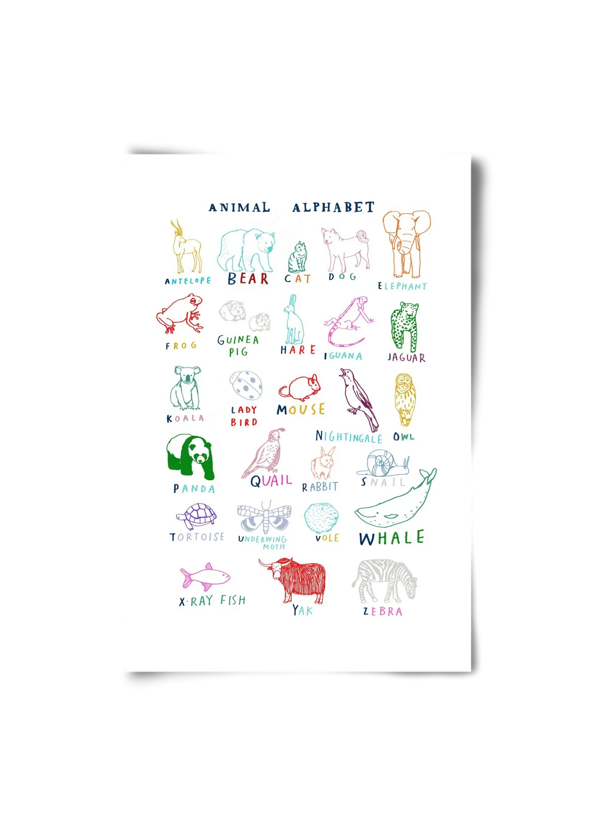 Animal Alphabeth - artbridge