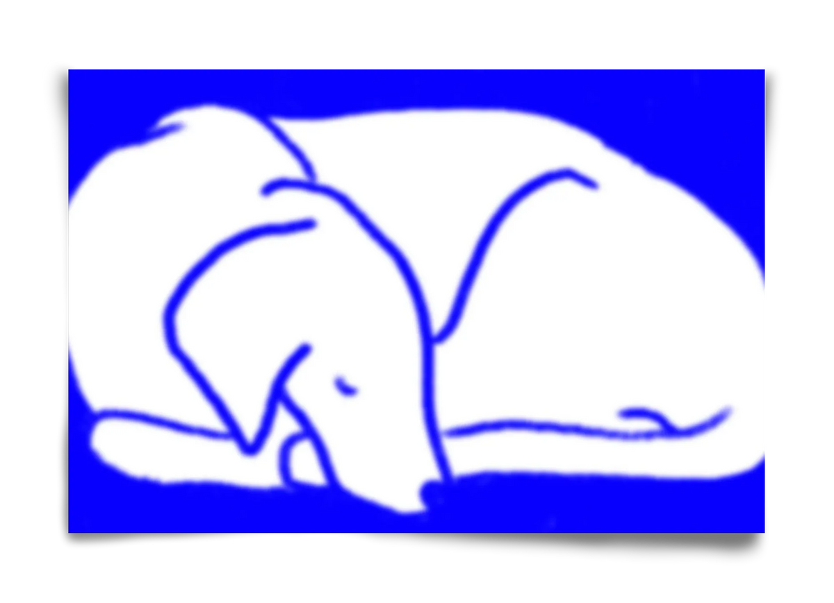 Good Night Blurry Dog - artbridge