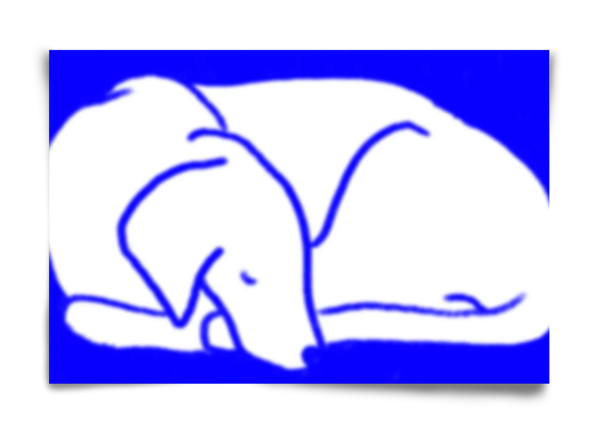 Good Night Blurry Dog - artbridge