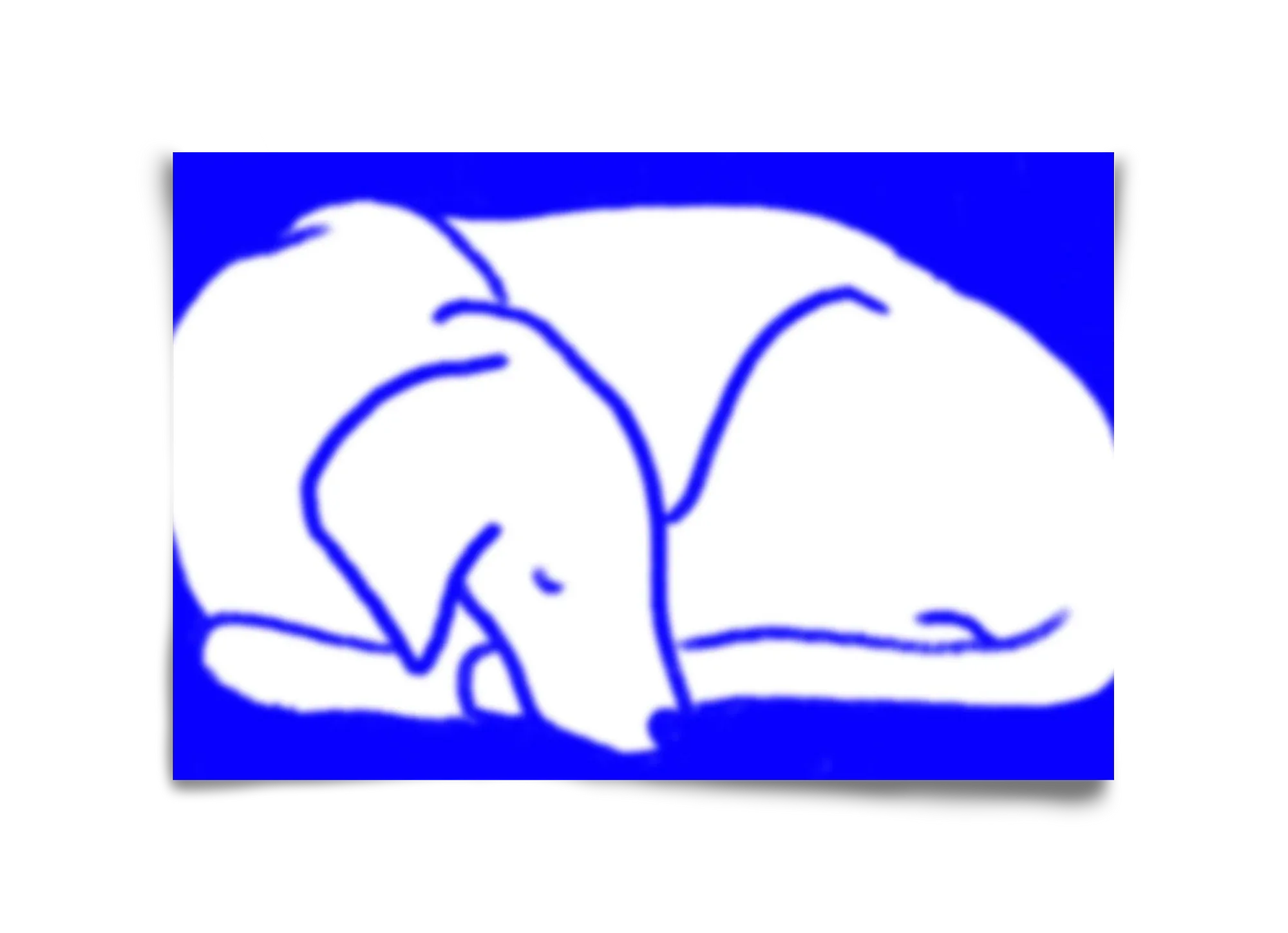 Good Night Blurry Dog - artbridge