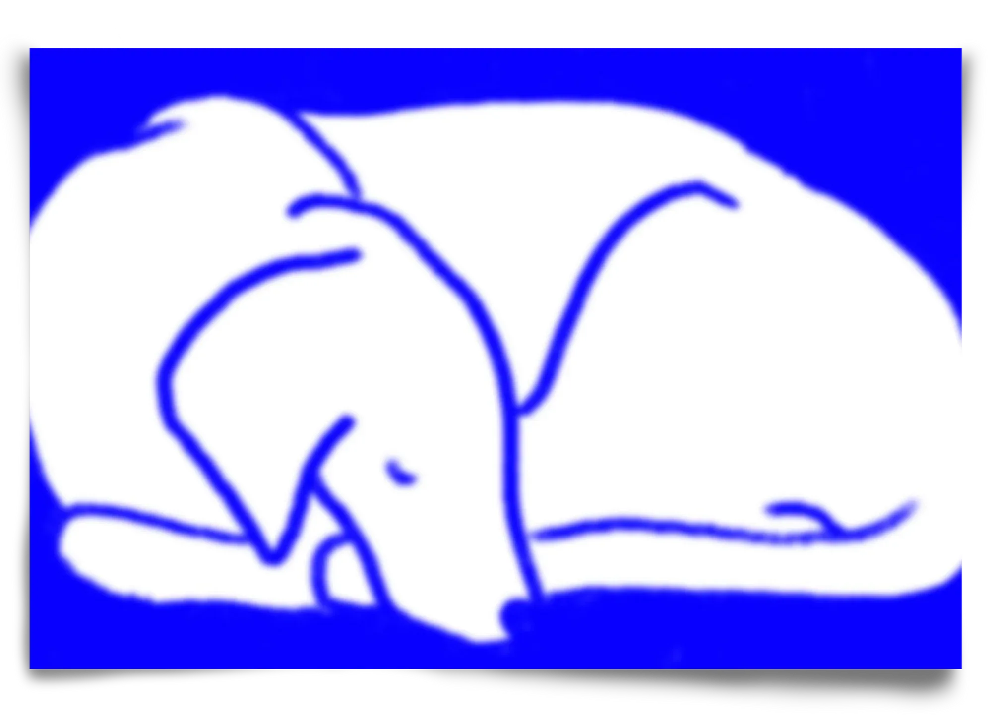 Good Night Blurry Dog - artbridge